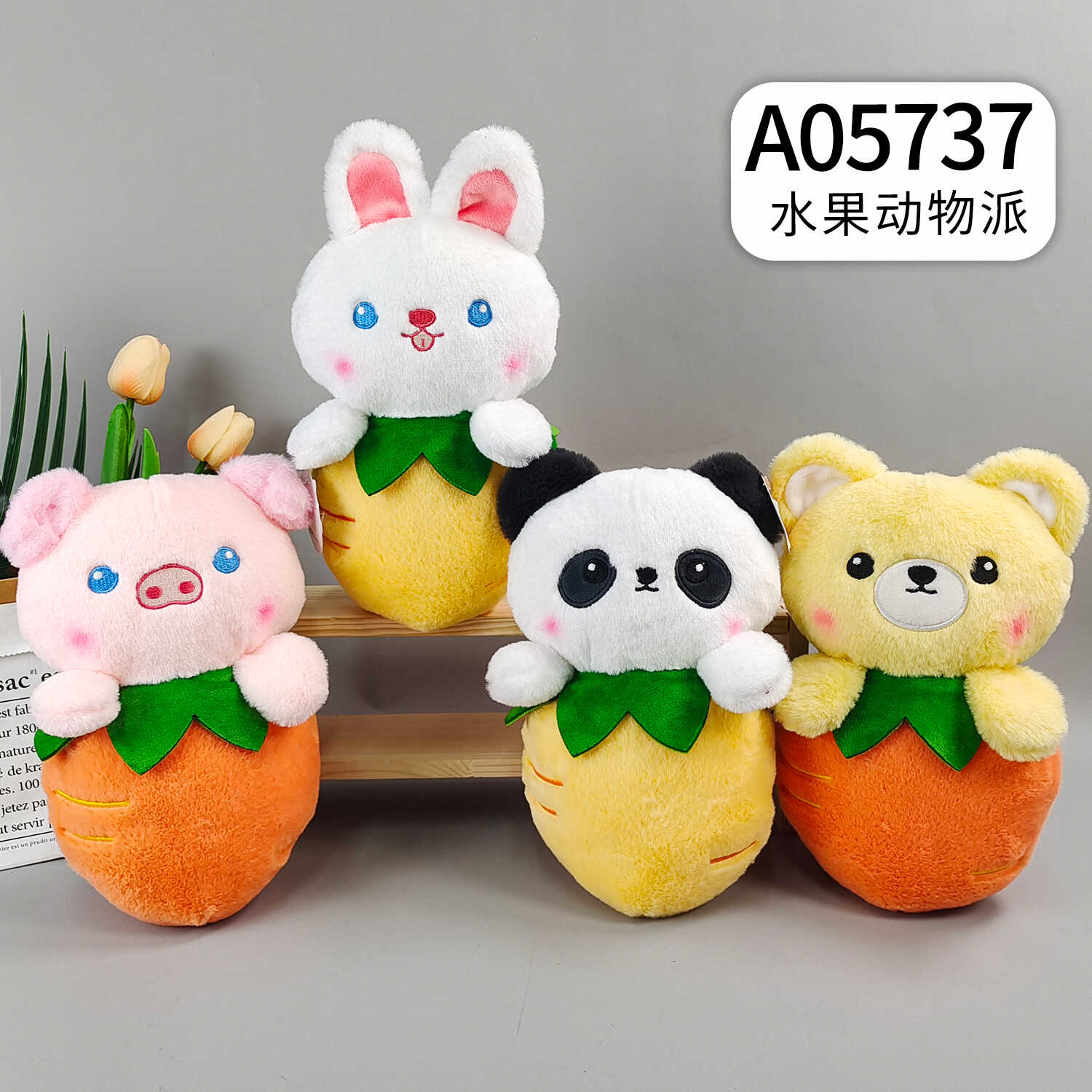A05737