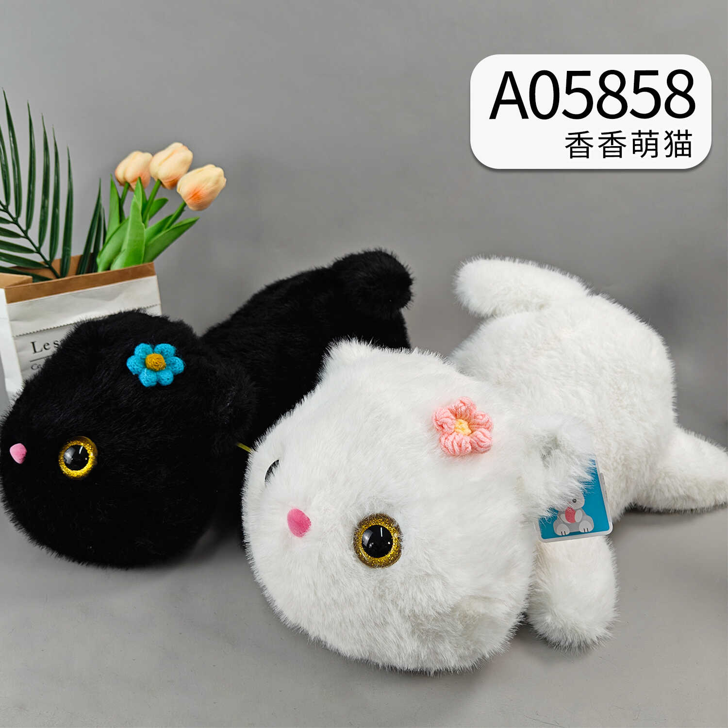 A05858