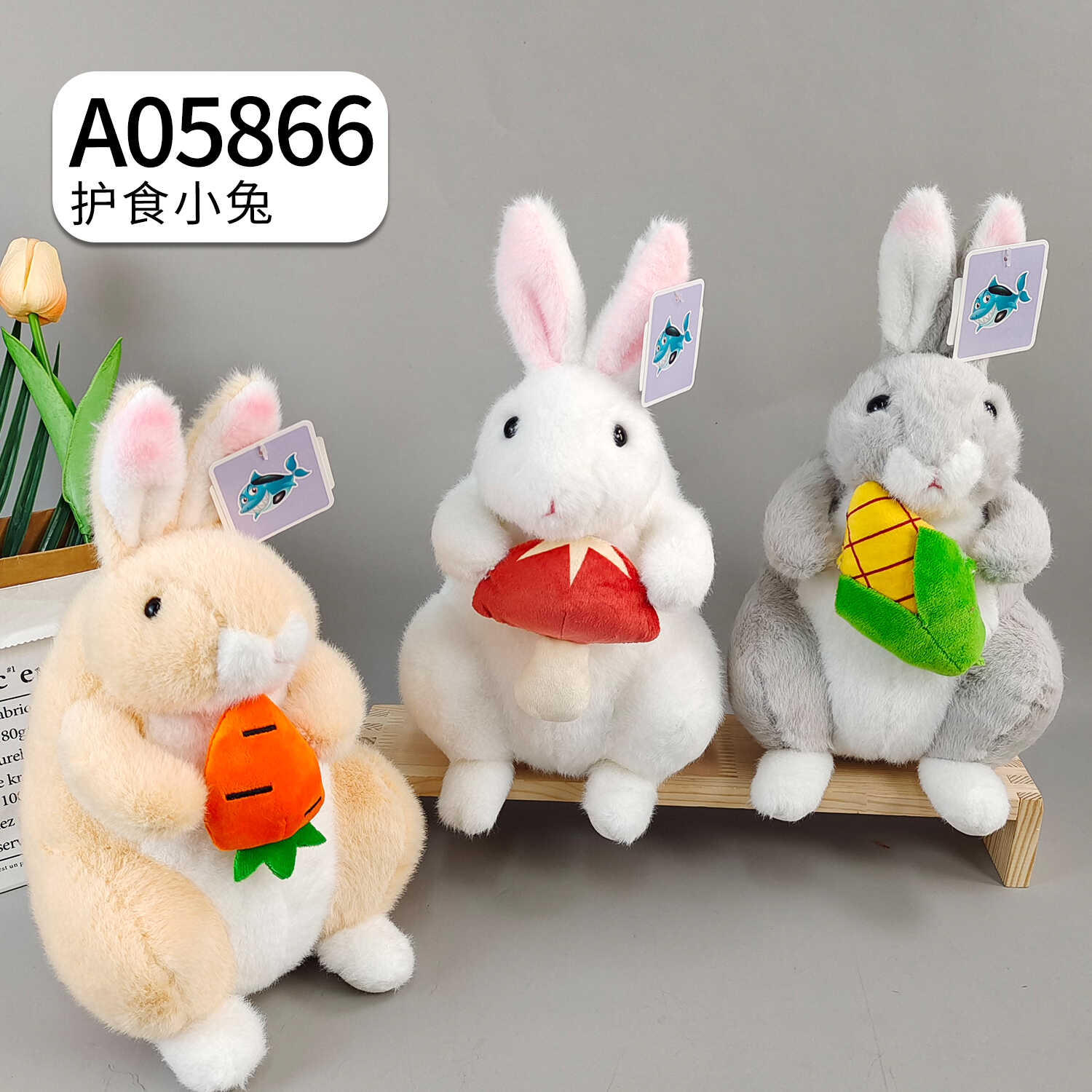 A05866