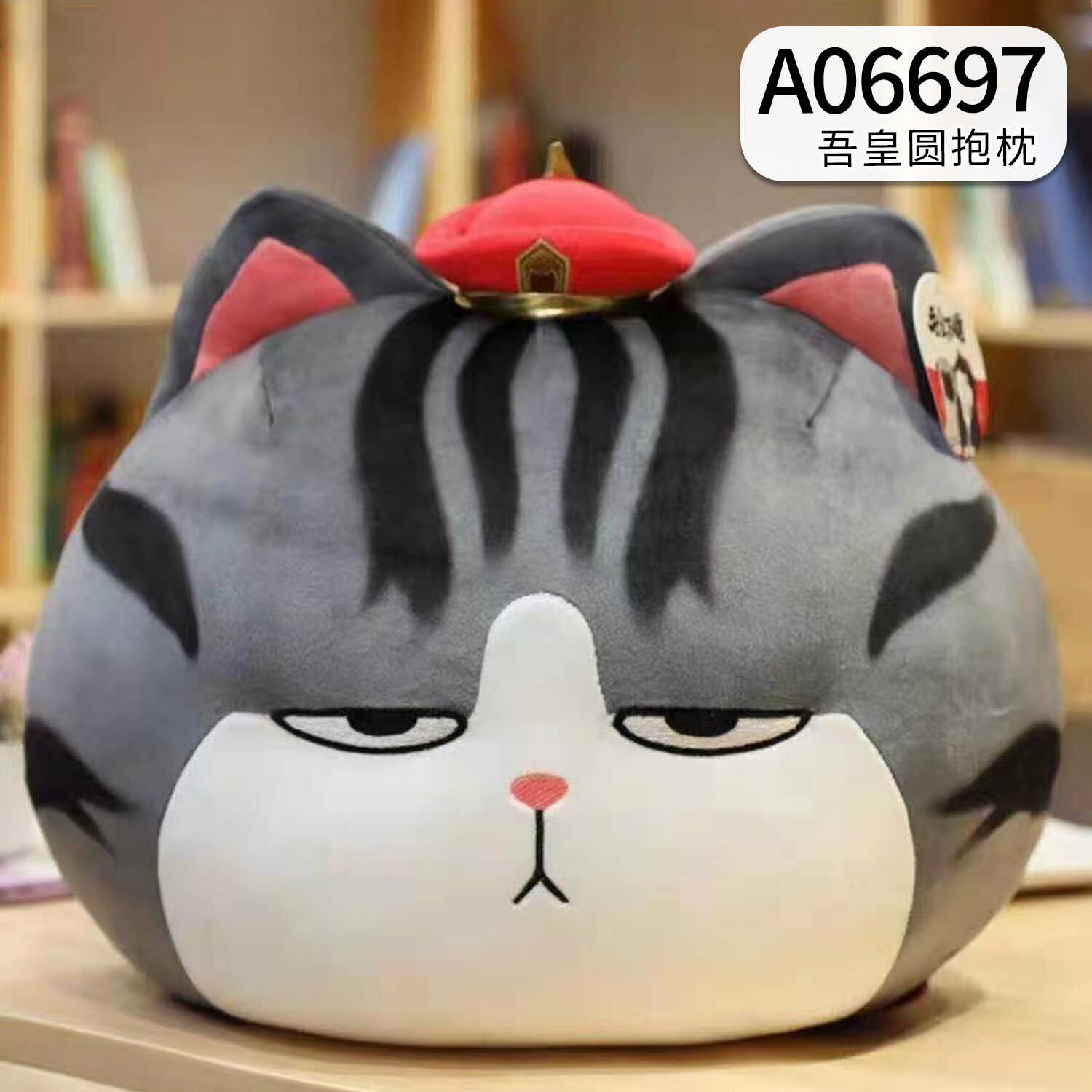 A06697