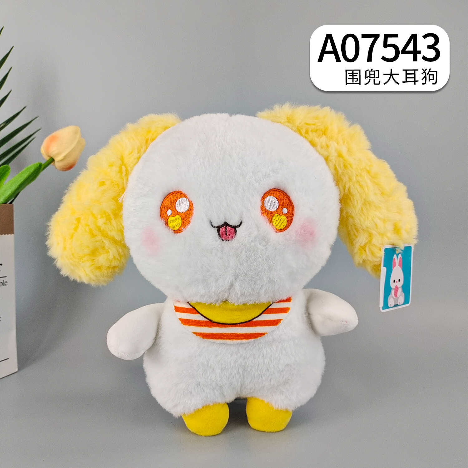 A07543