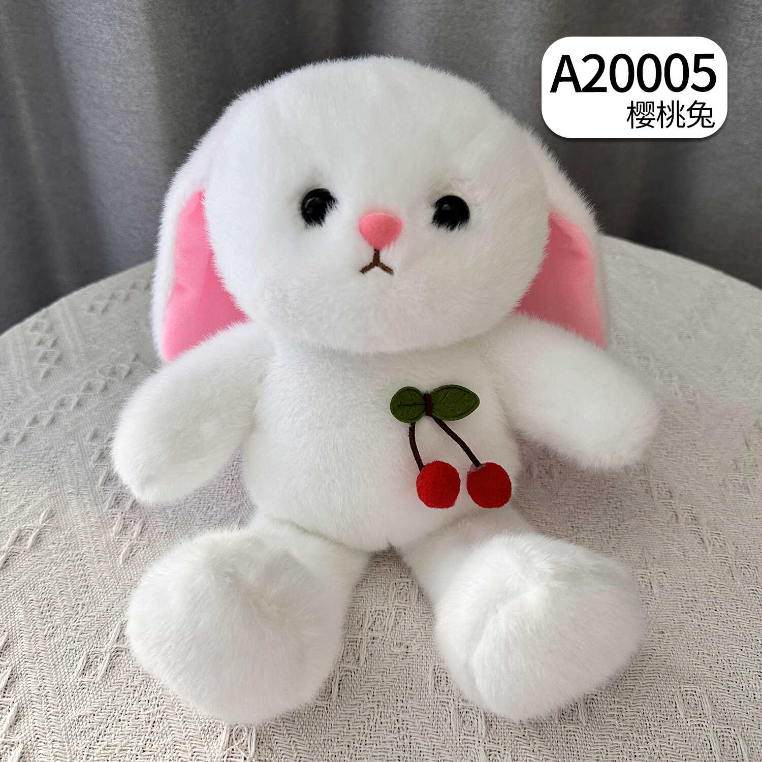 A20005