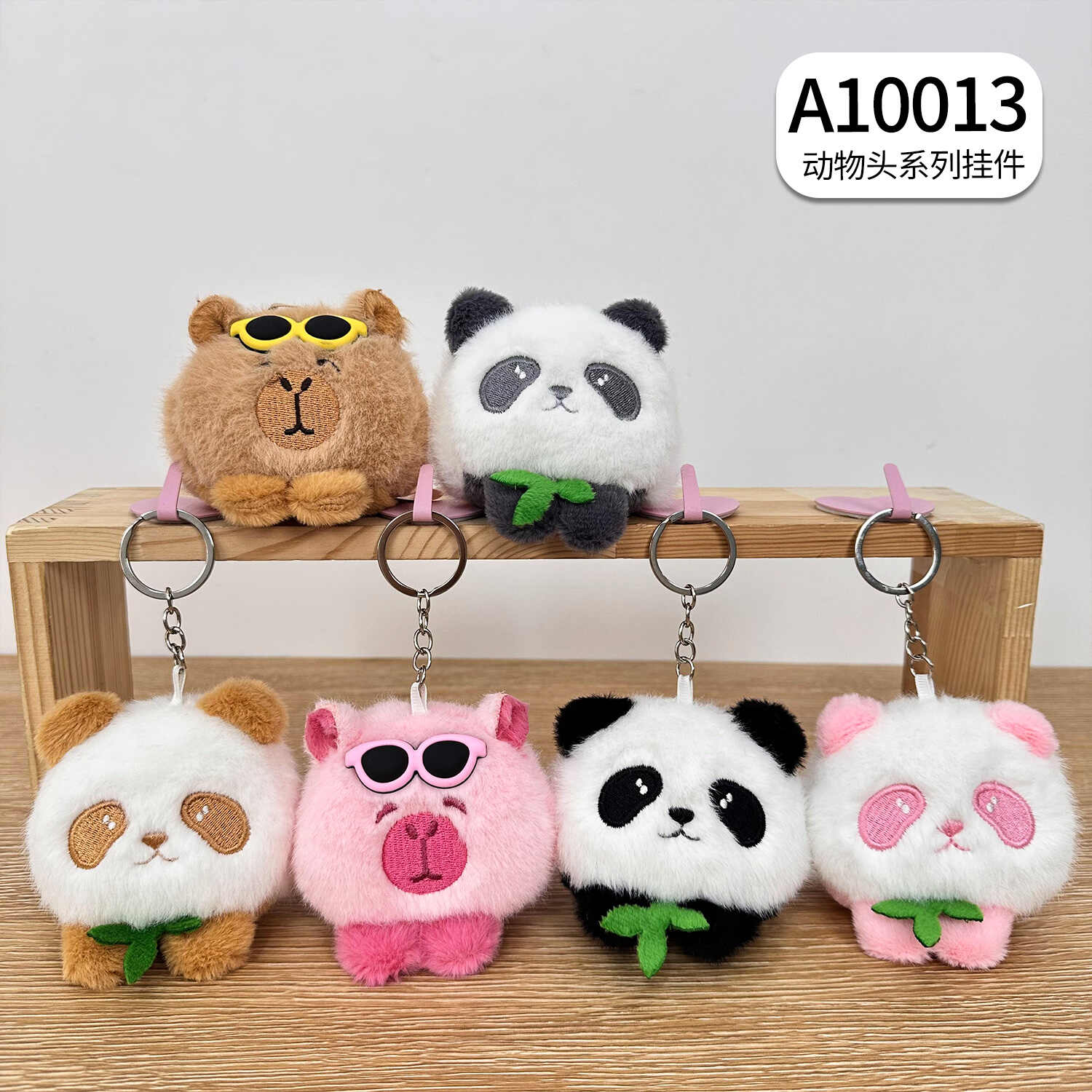 A10013