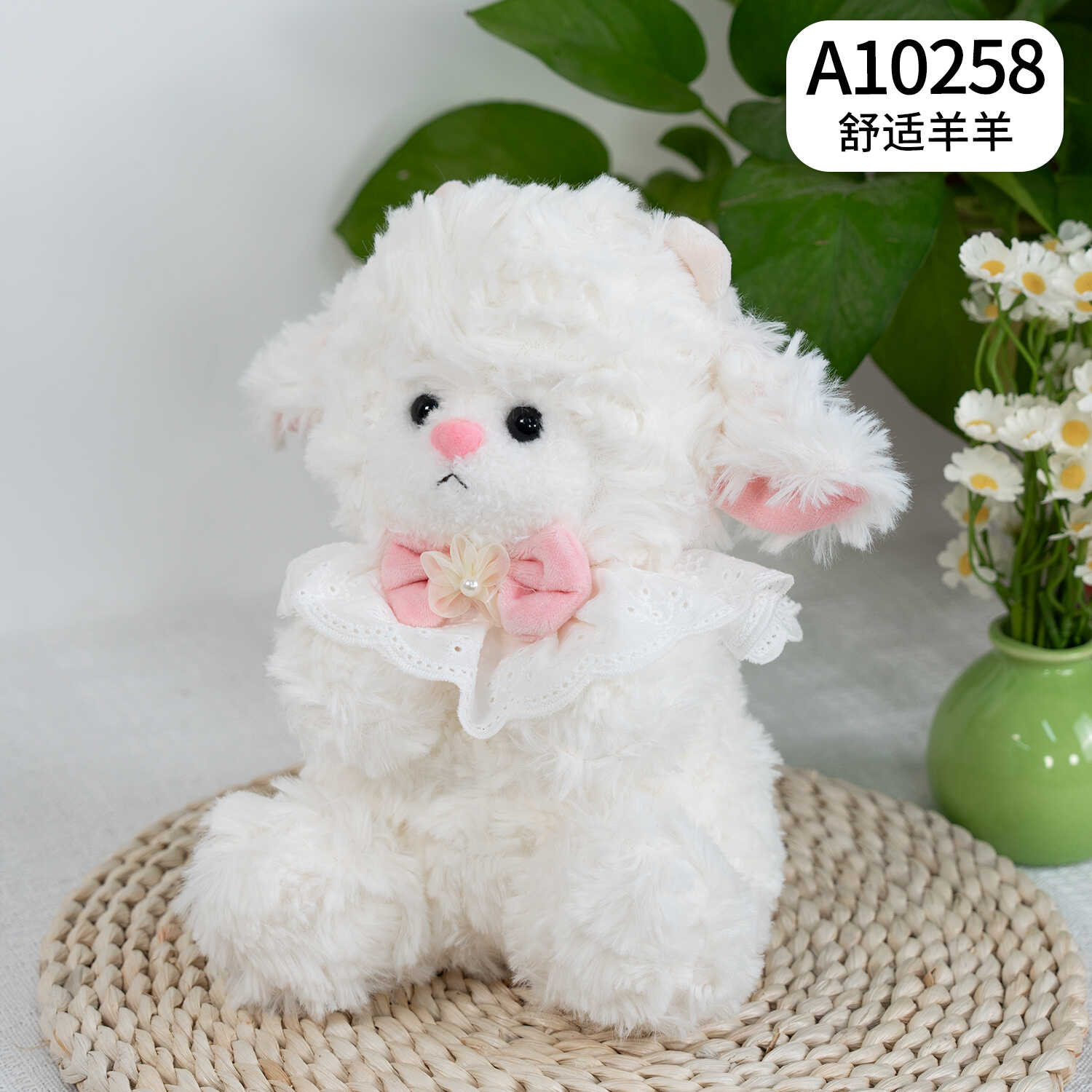 A10258