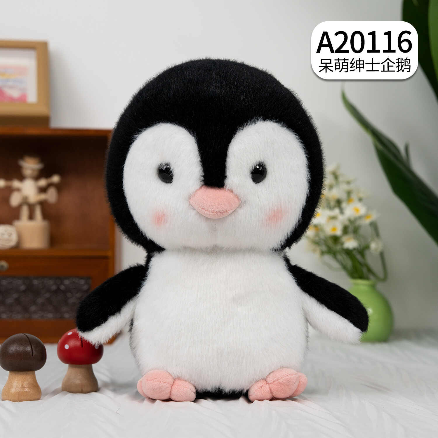 A20116