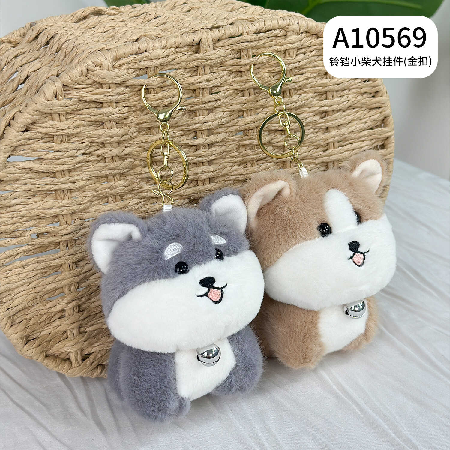A10569