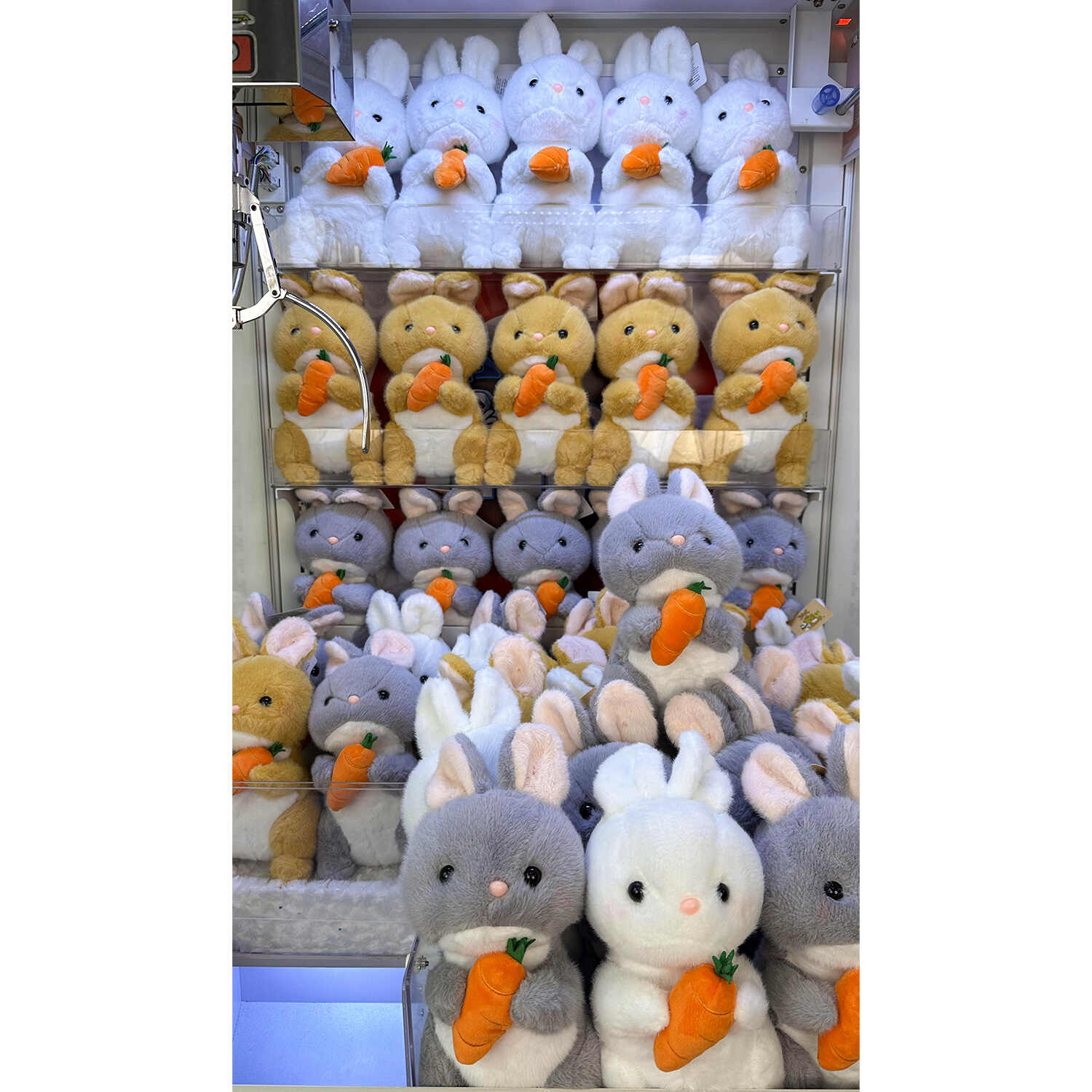 A20041