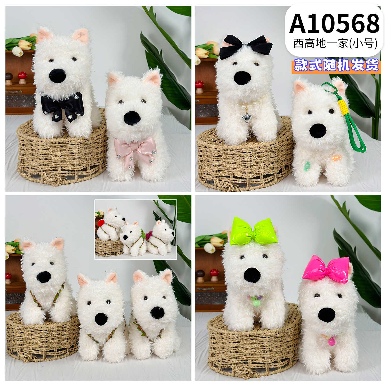 A10568
