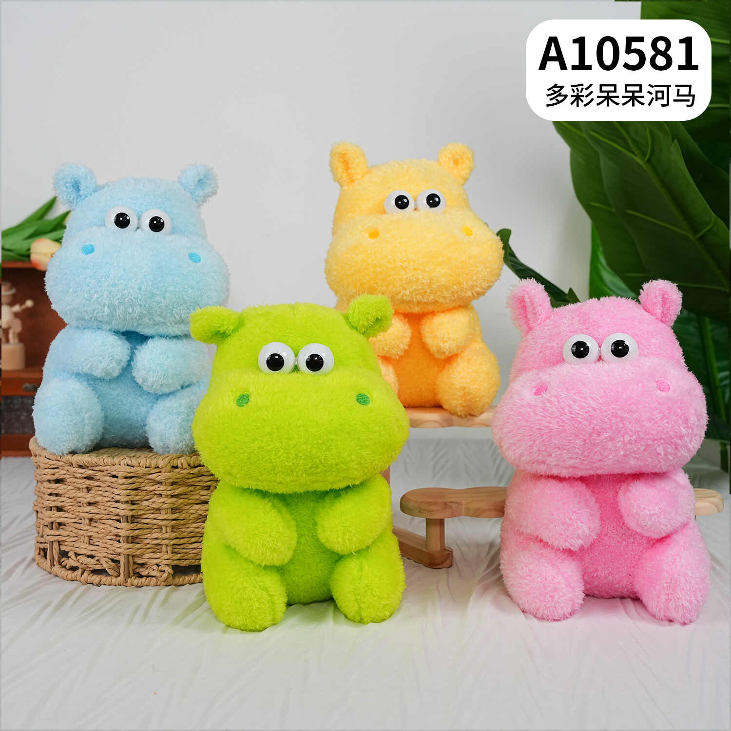 A10581