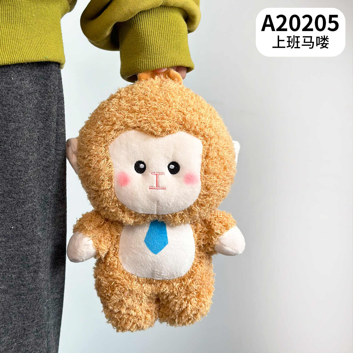 A20205