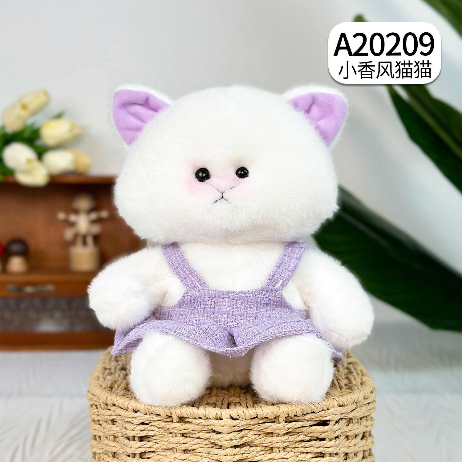 A20209