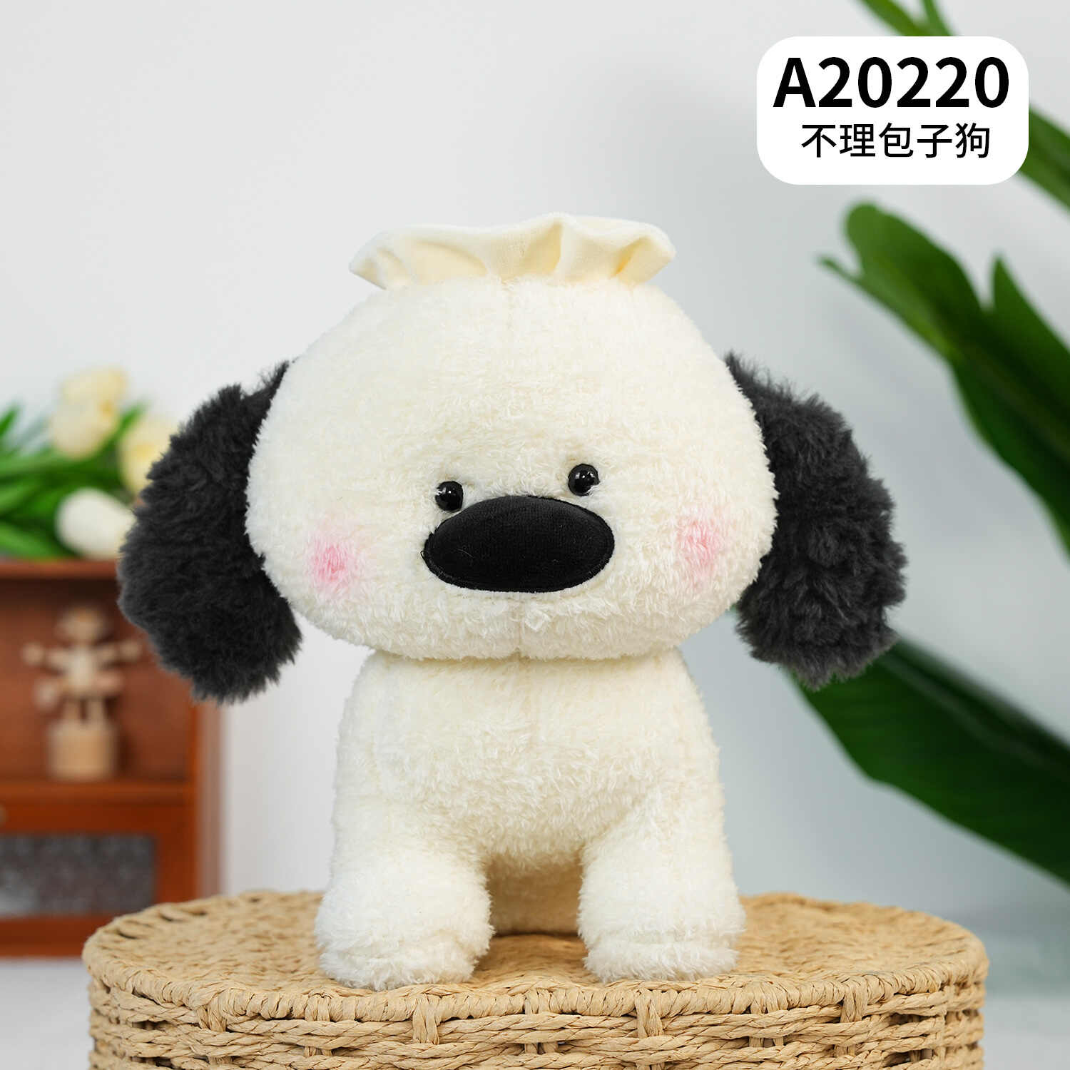 A20220