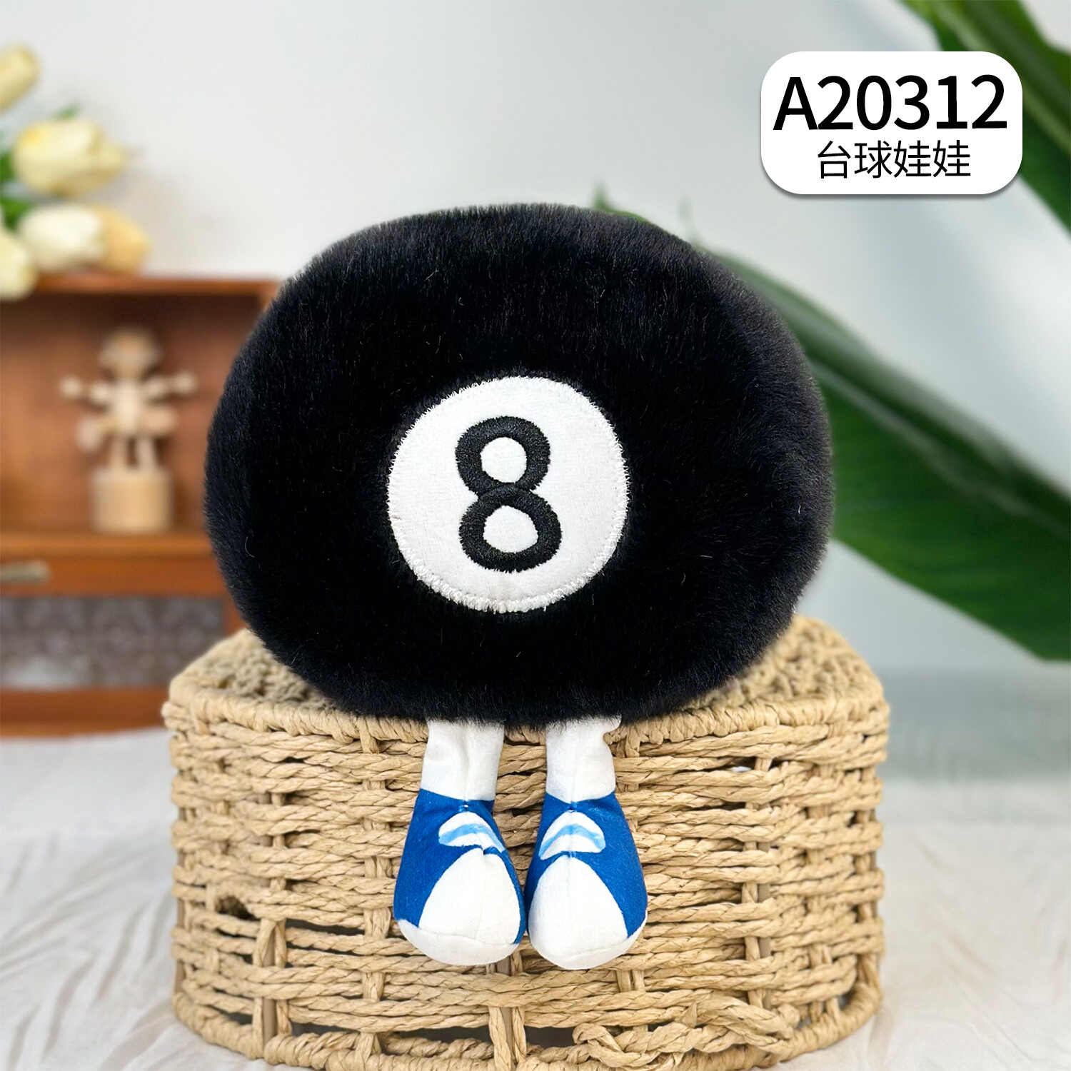 A20312
