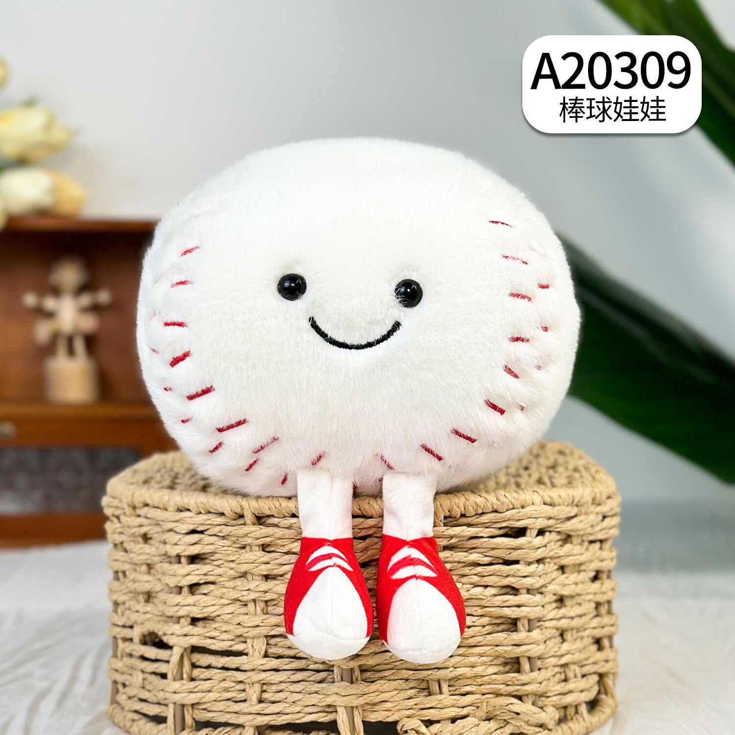 A20309