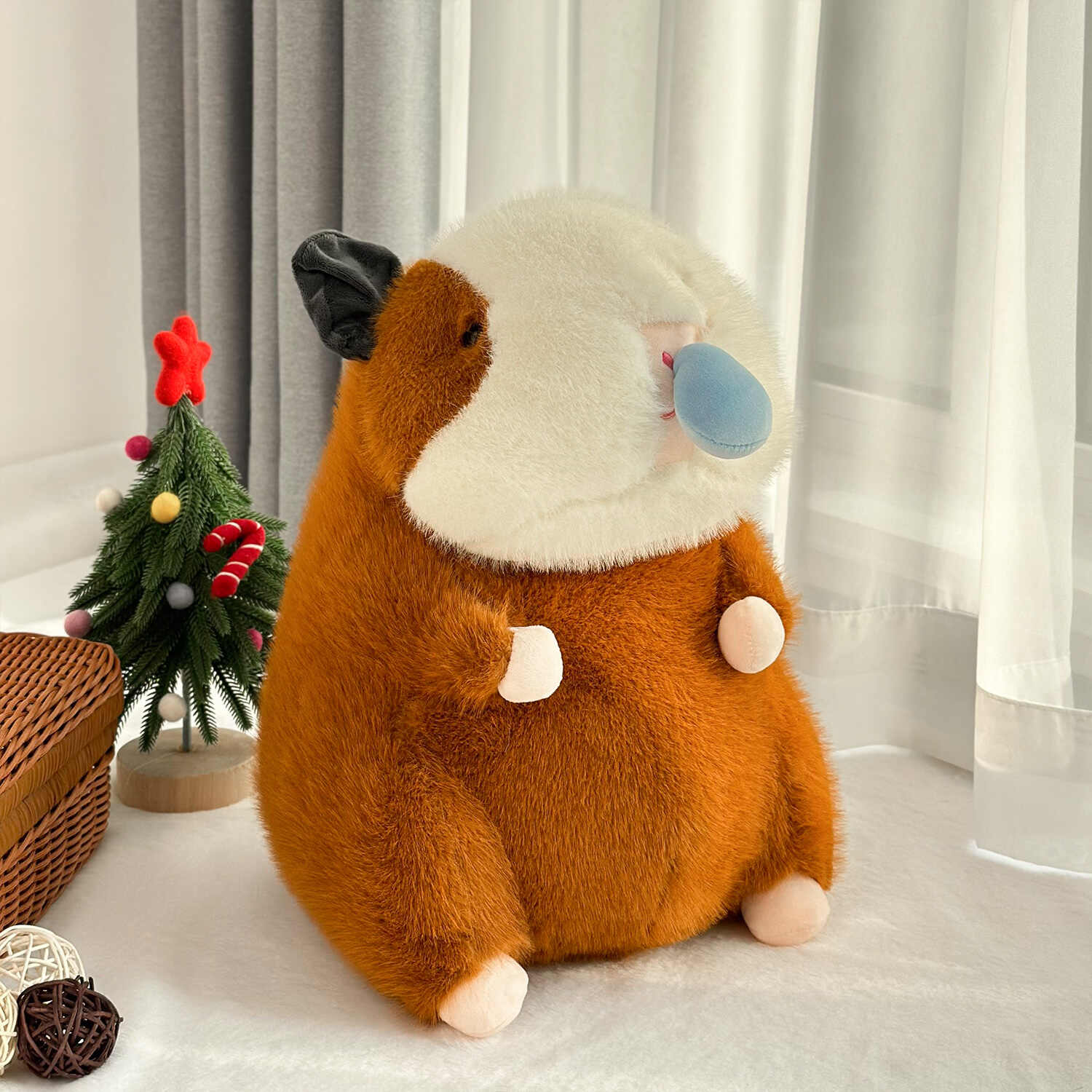 A11258