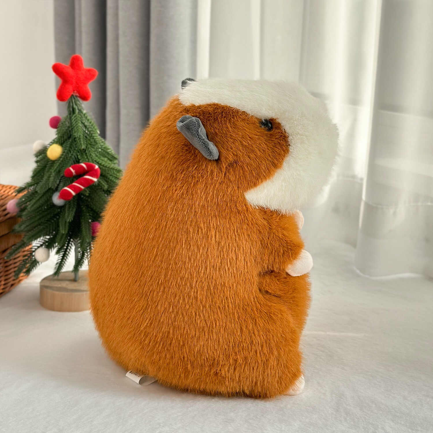 A11256