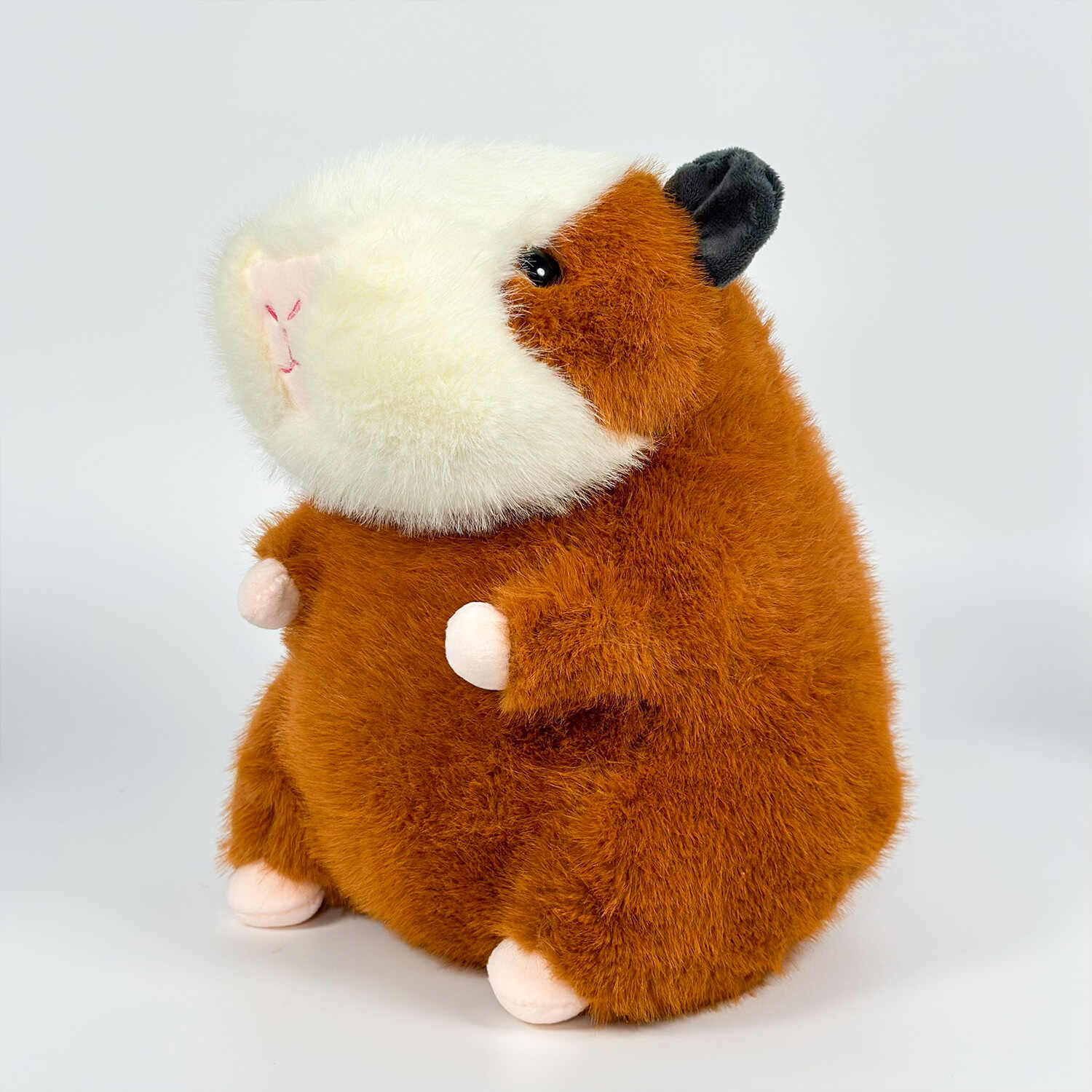 A11251