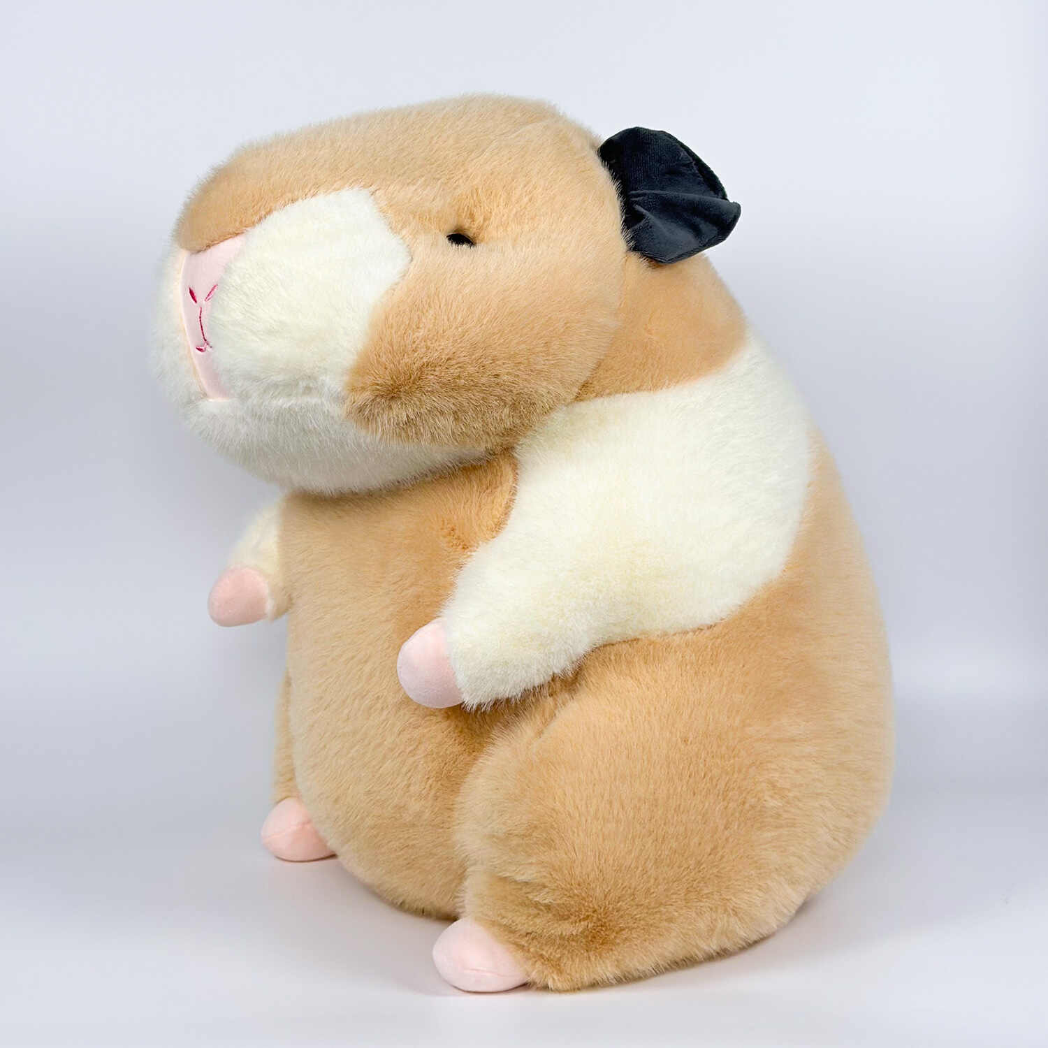 A11256