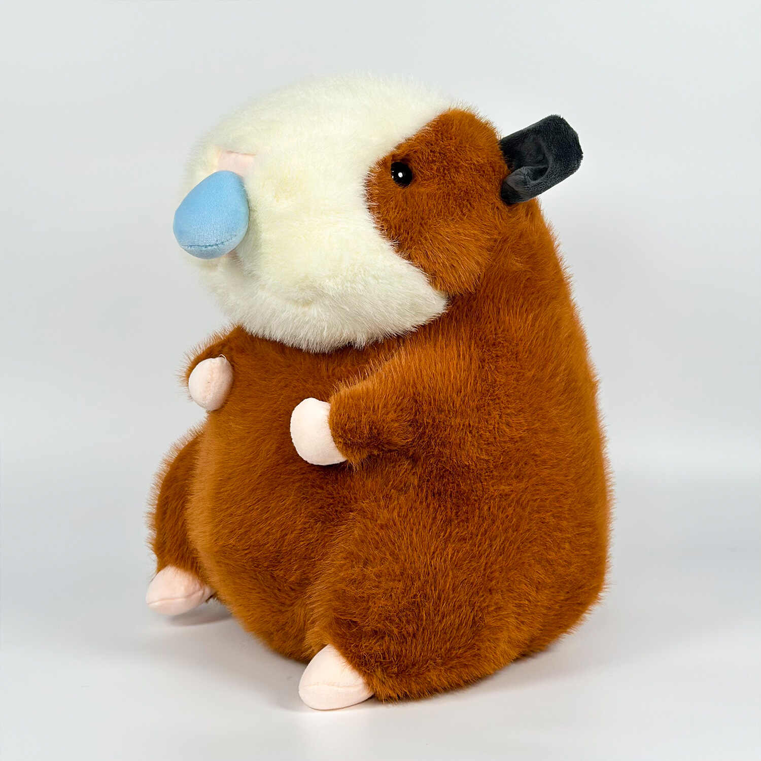 A11258