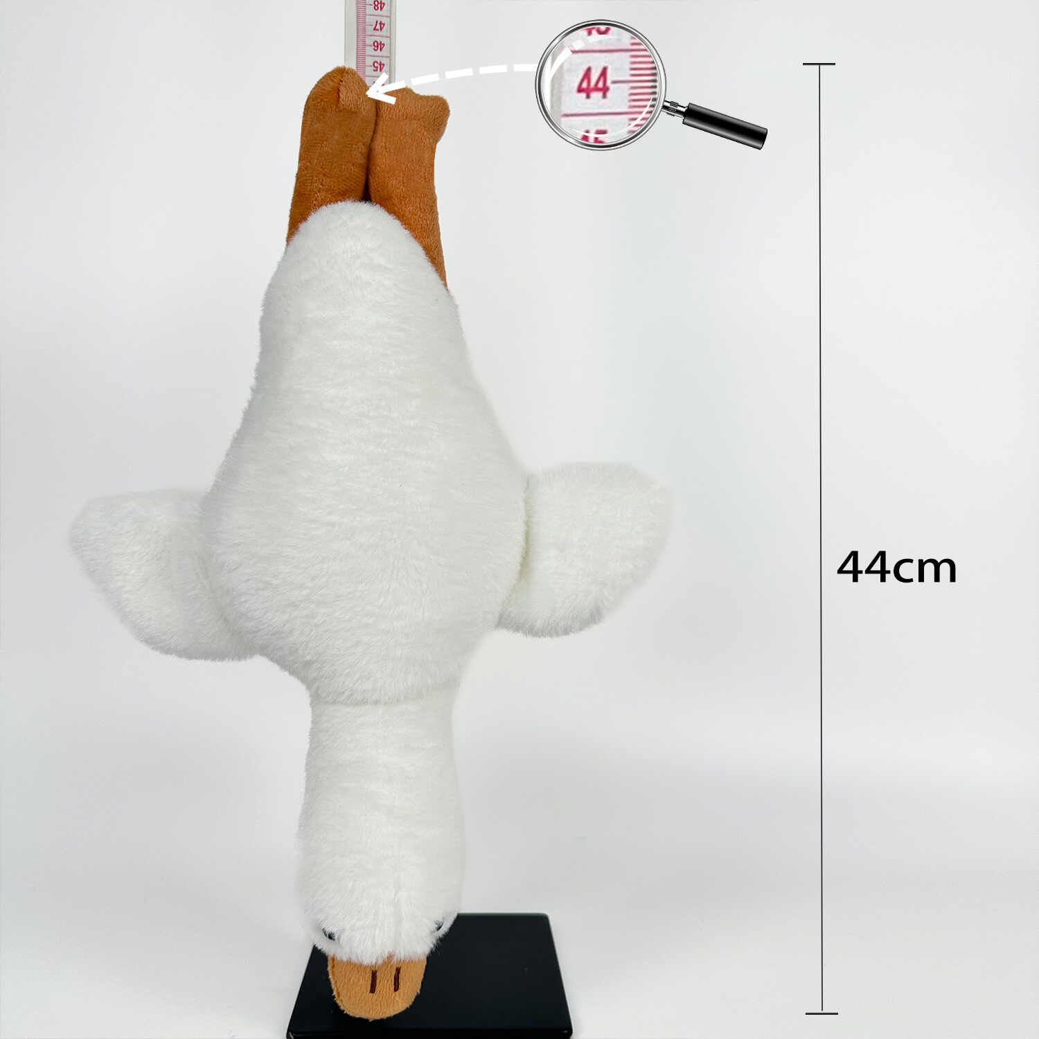 A11406