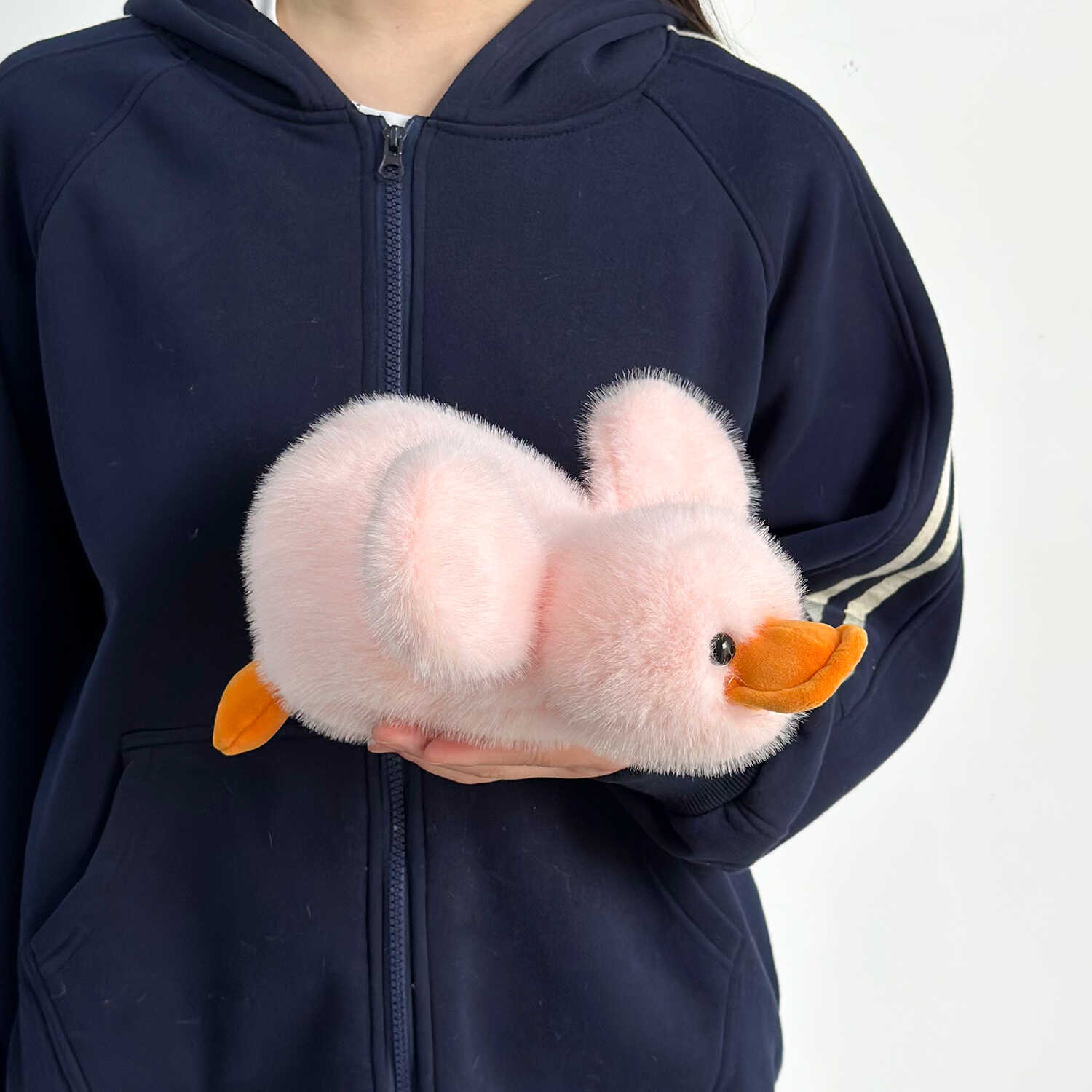A11808