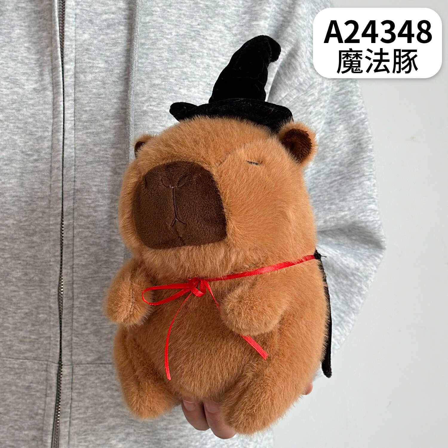 A24348