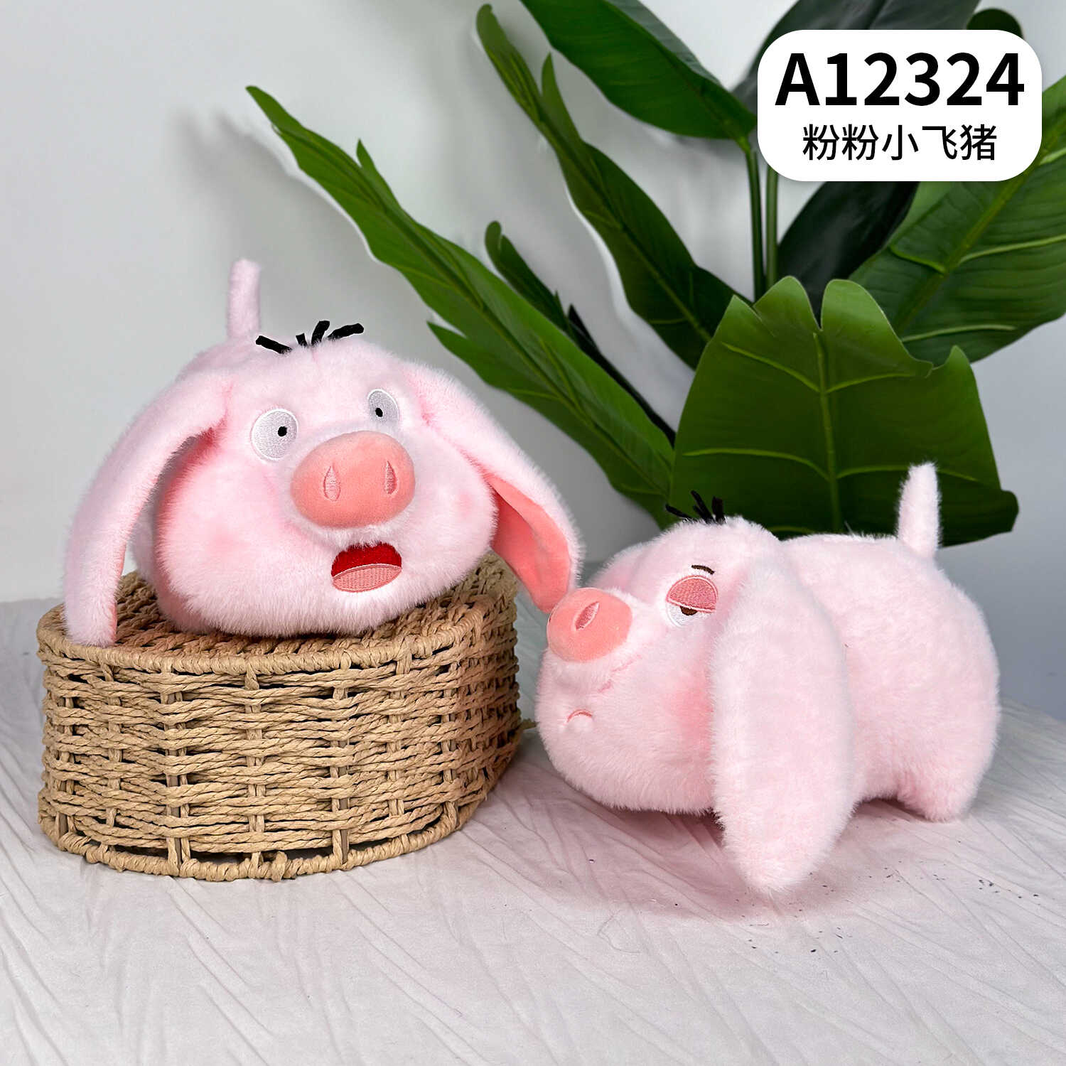 A12324