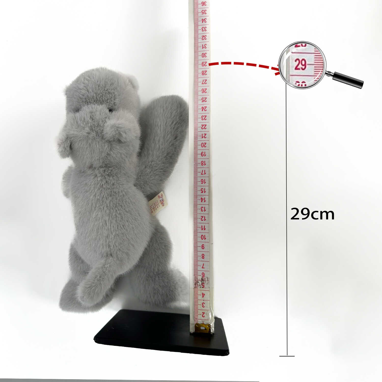 A12581