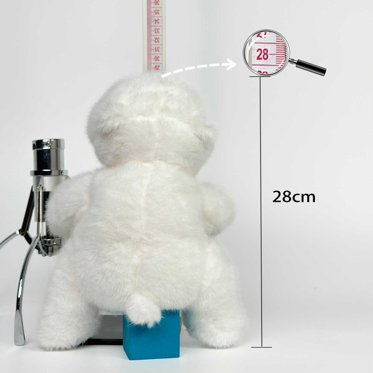 A12496