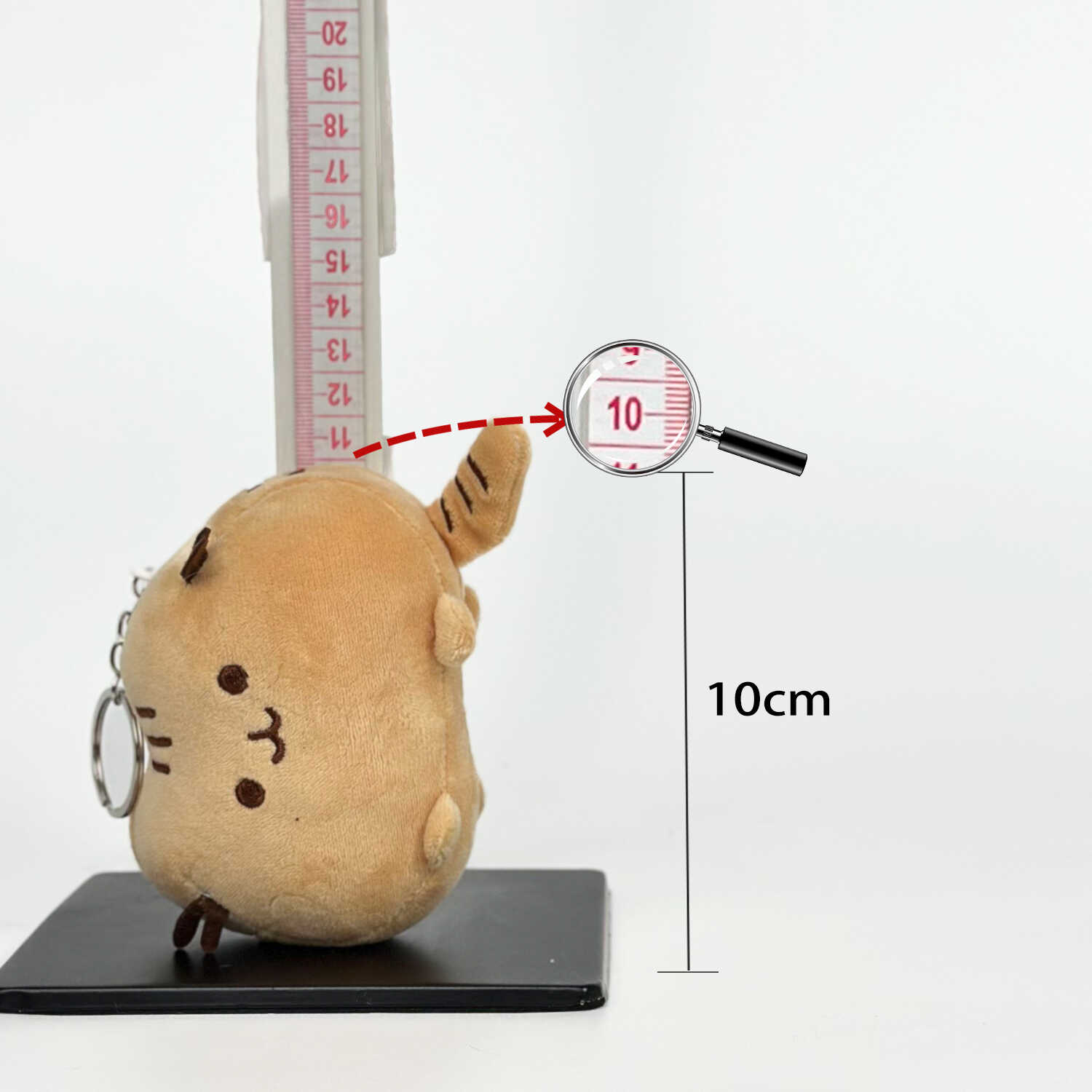A12791