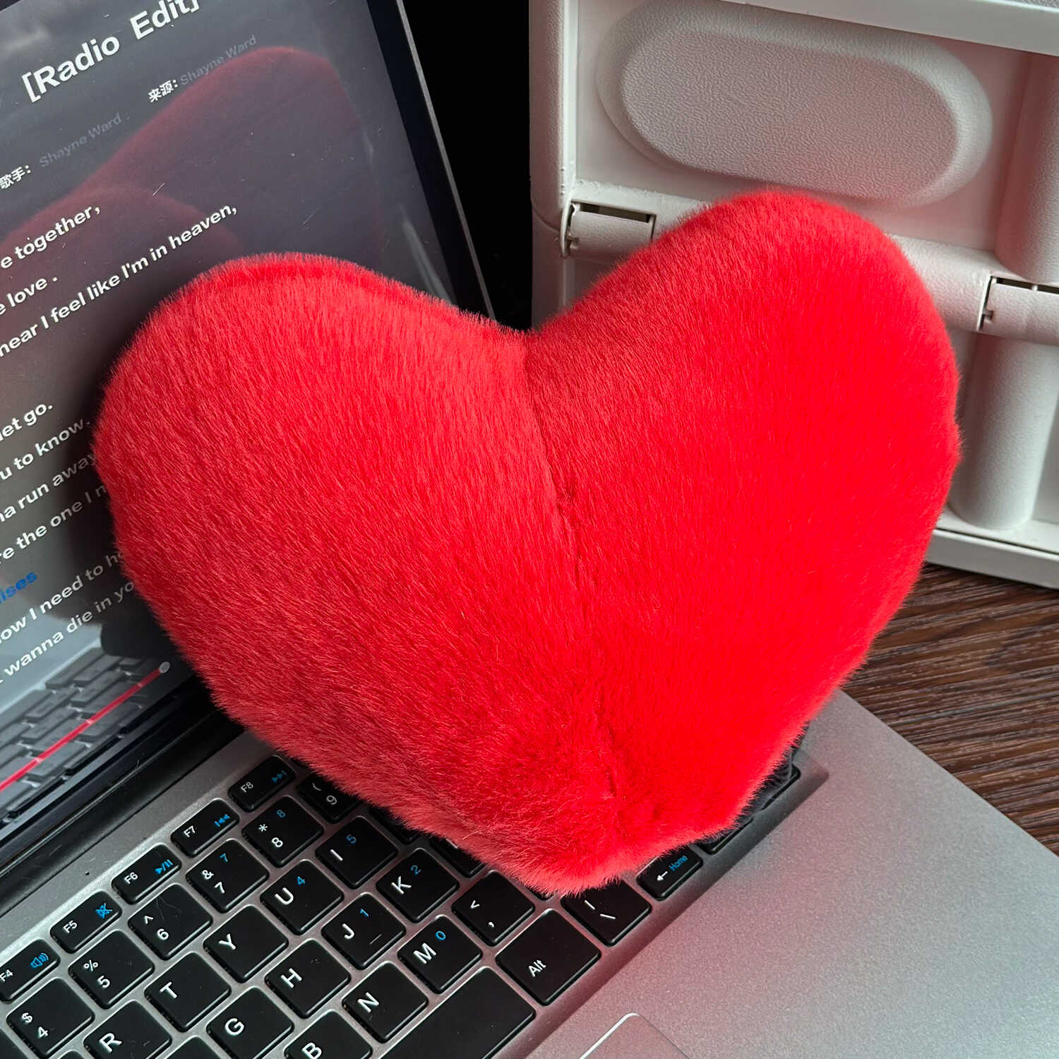 A13003