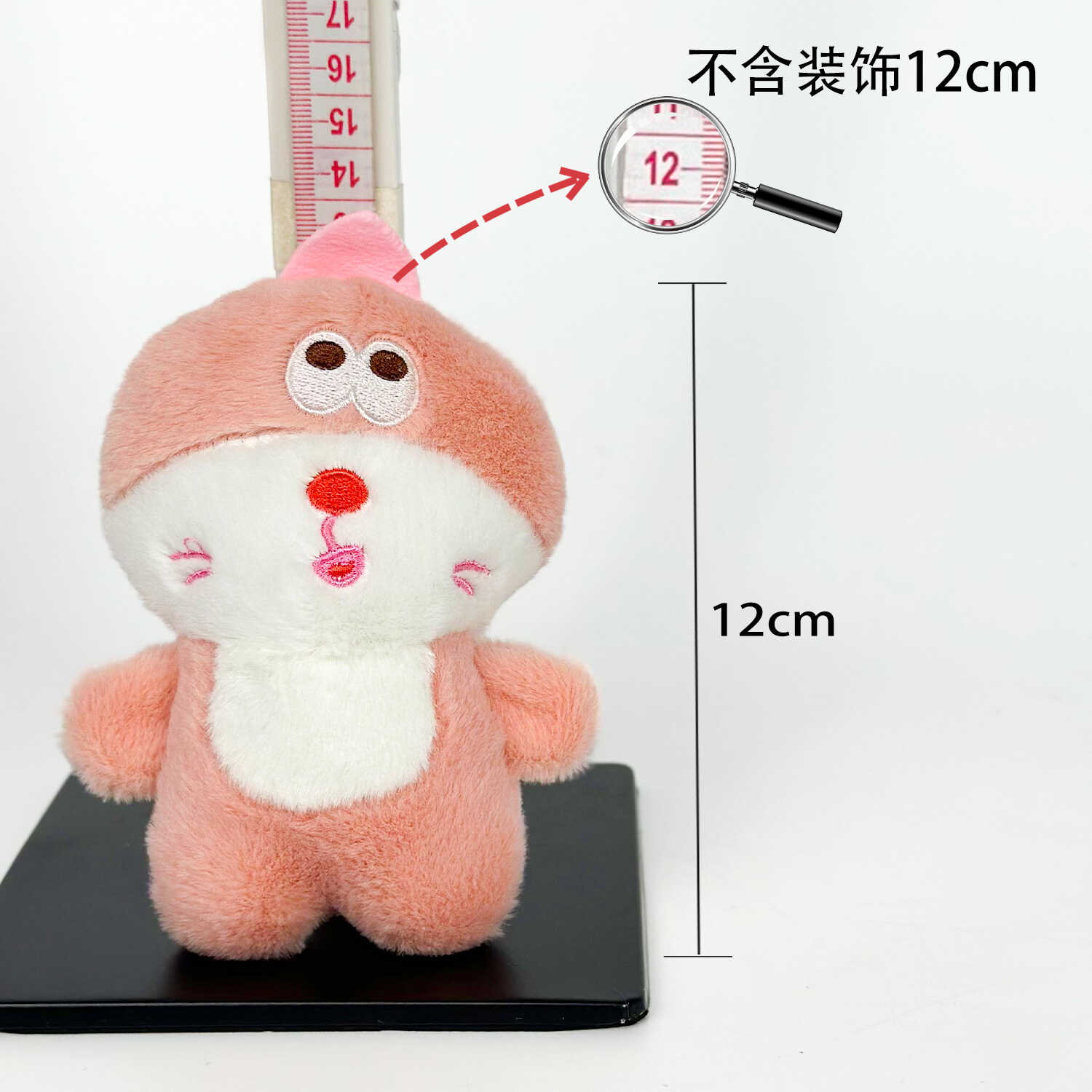 A13169