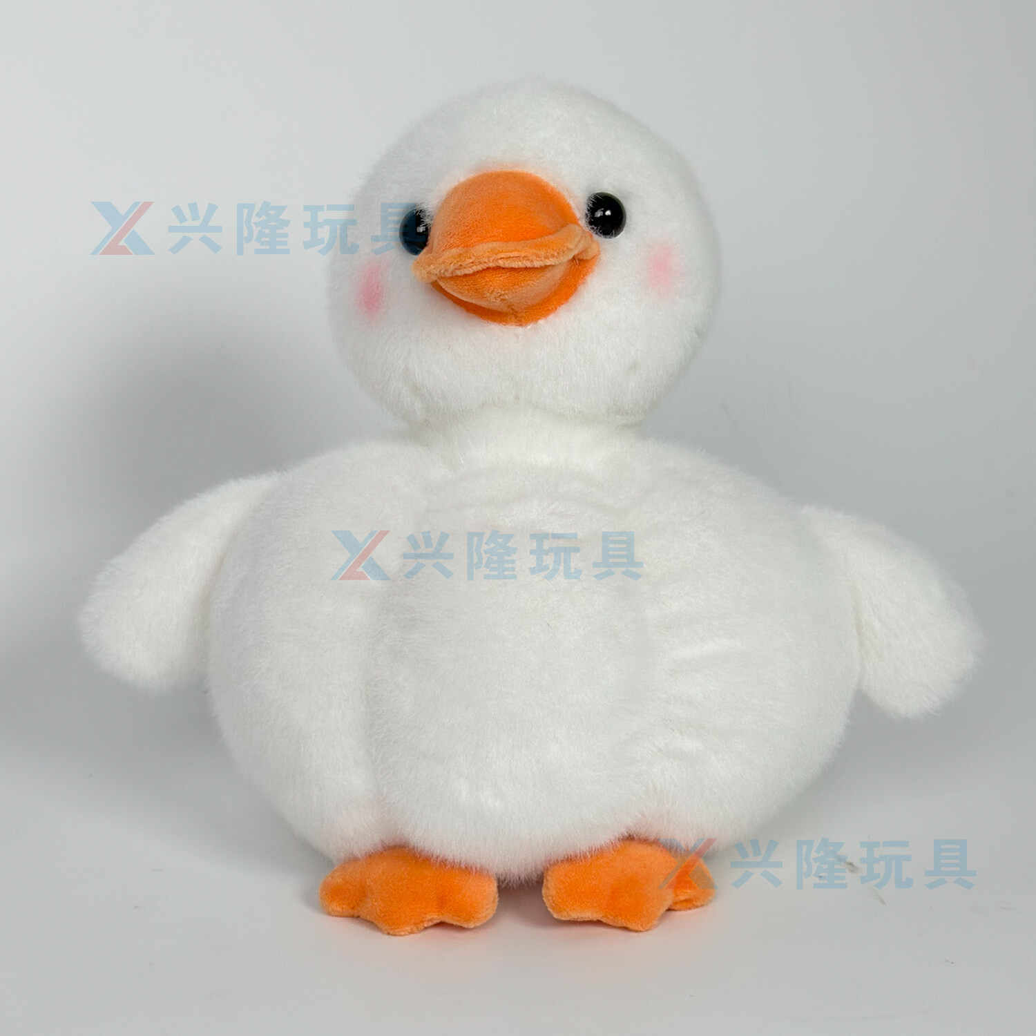Y0381