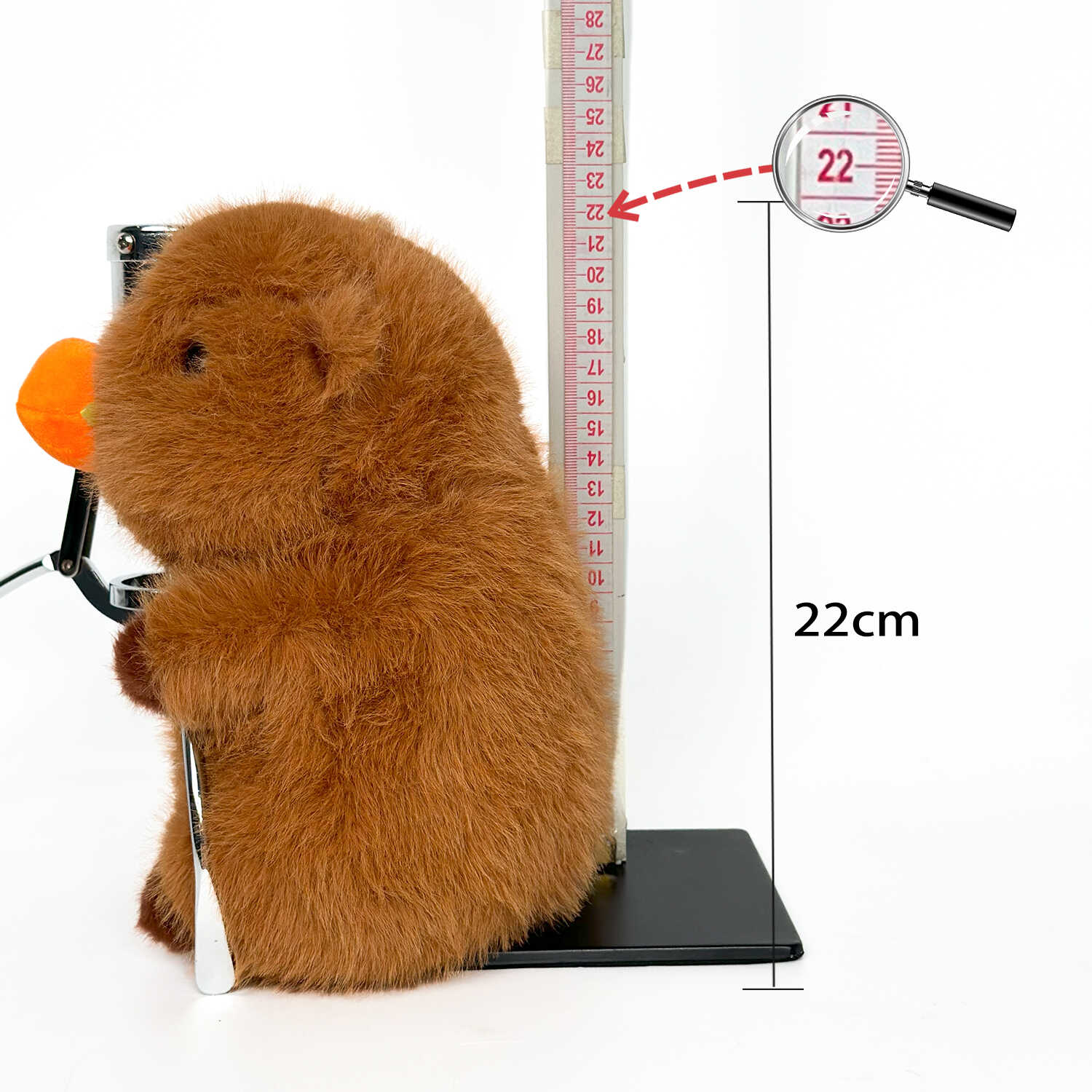 A13157
