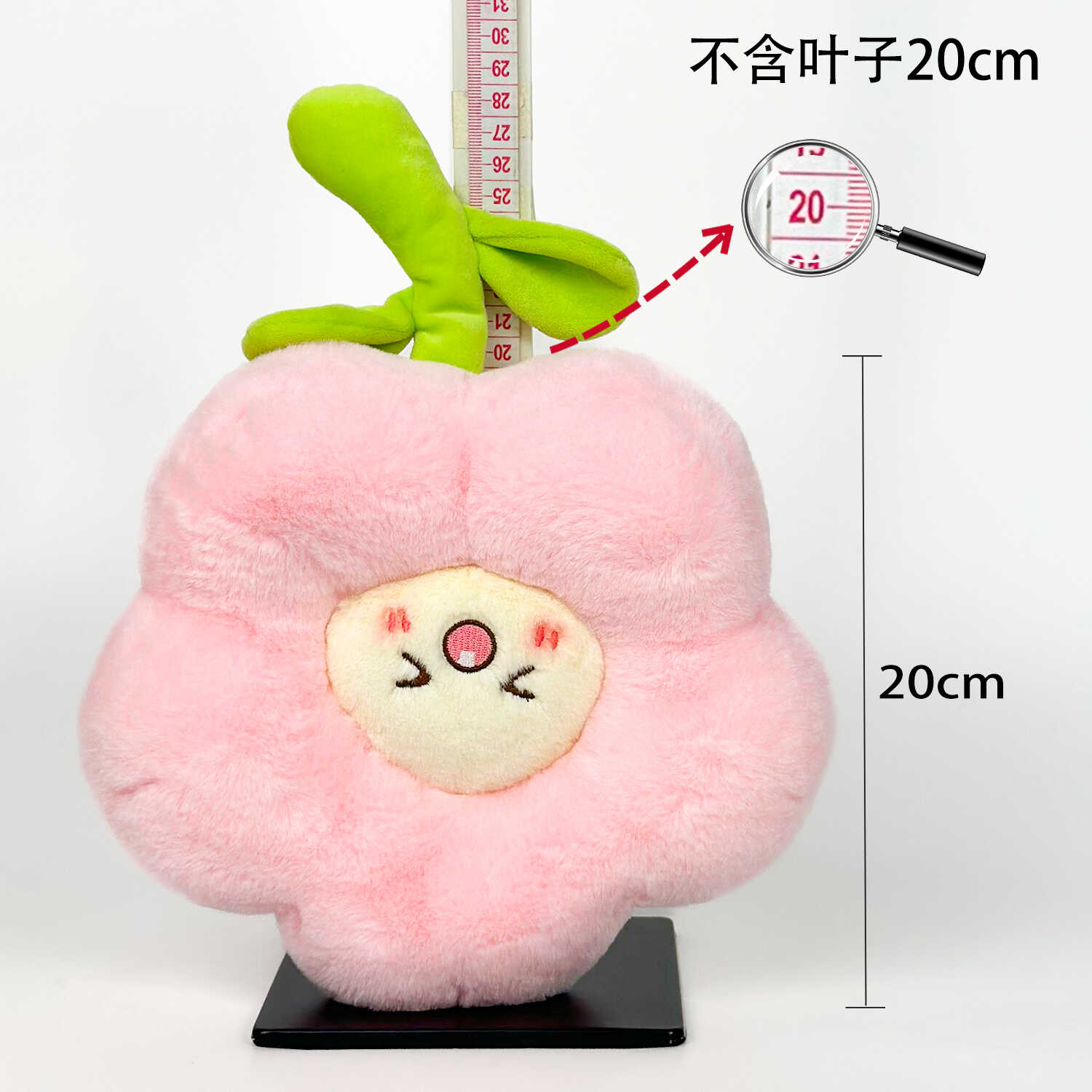 Y0458
