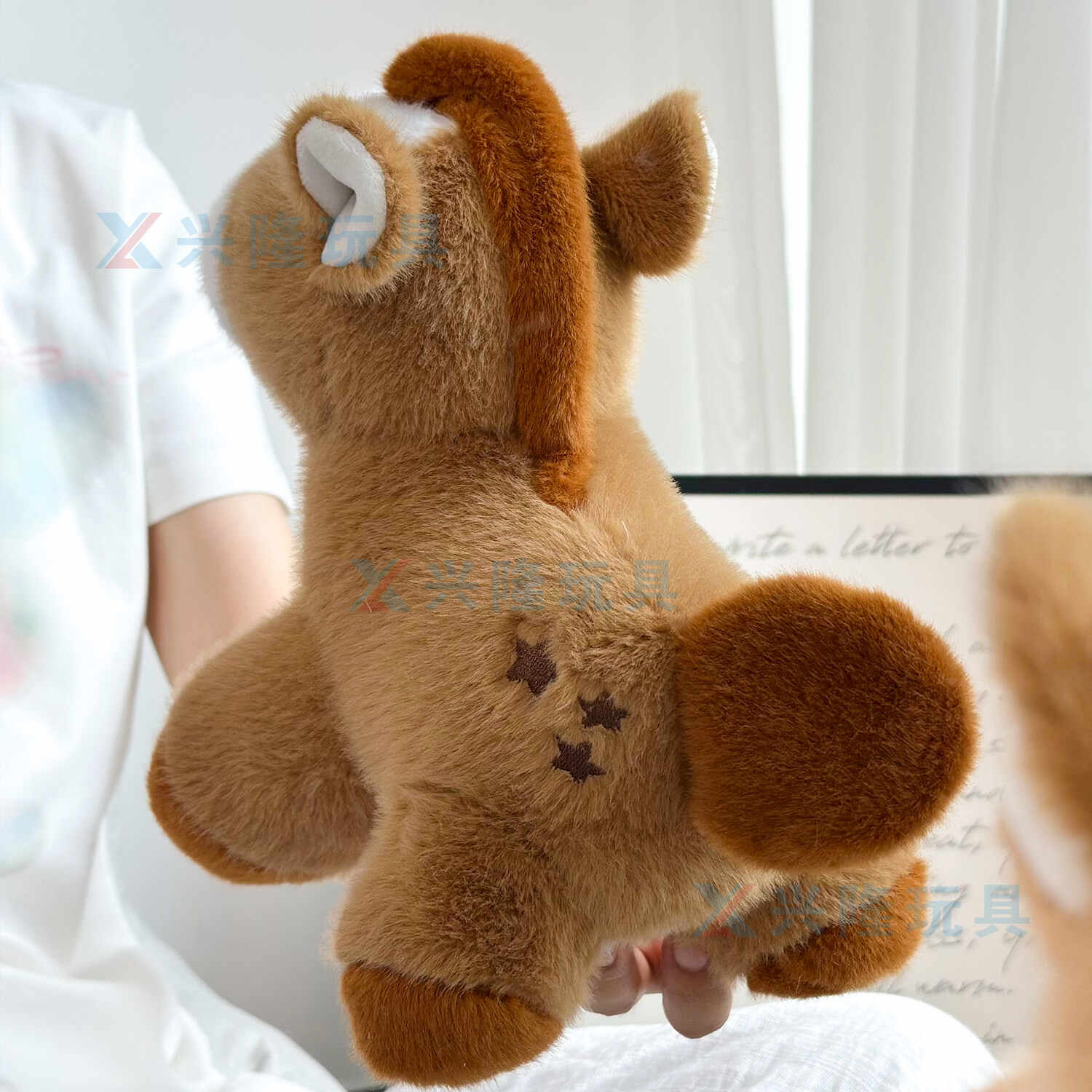 Y0483