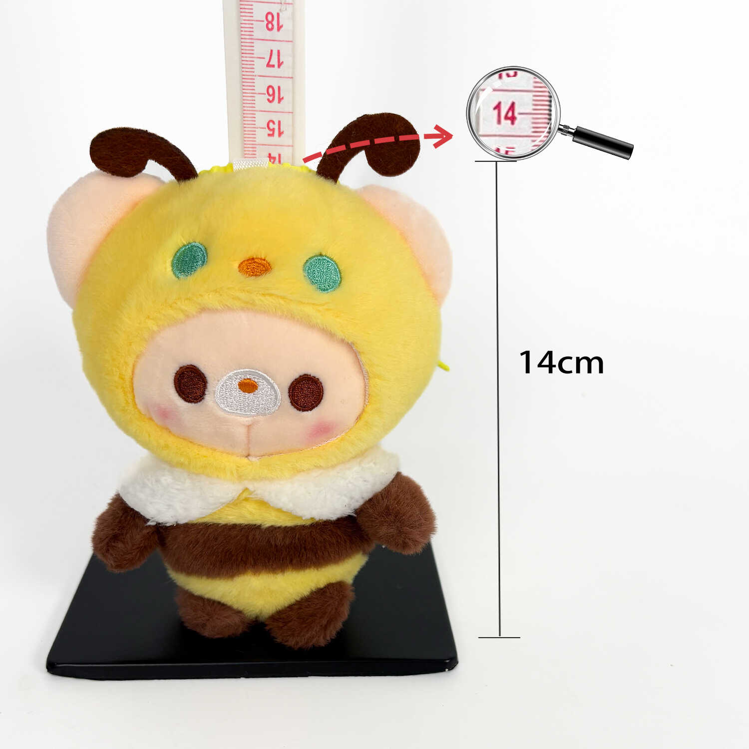 A13255