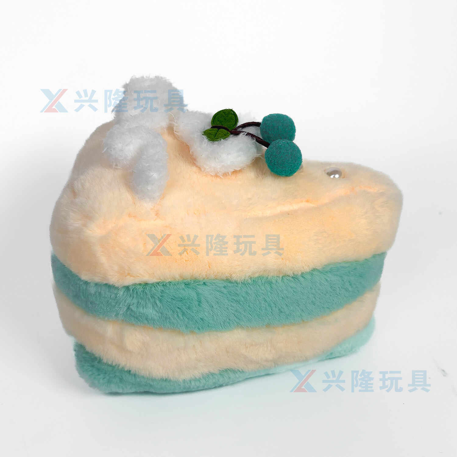 Y0484