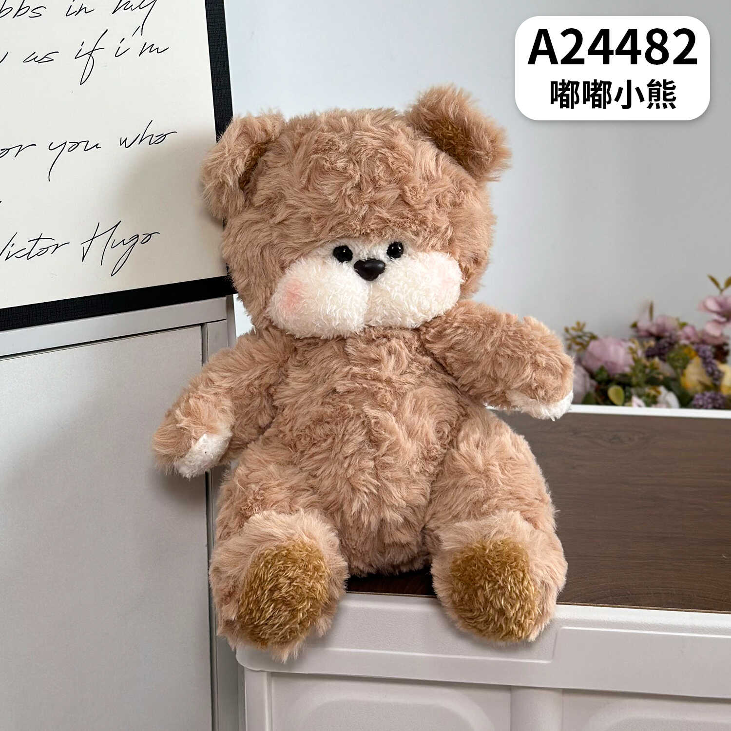 A24482