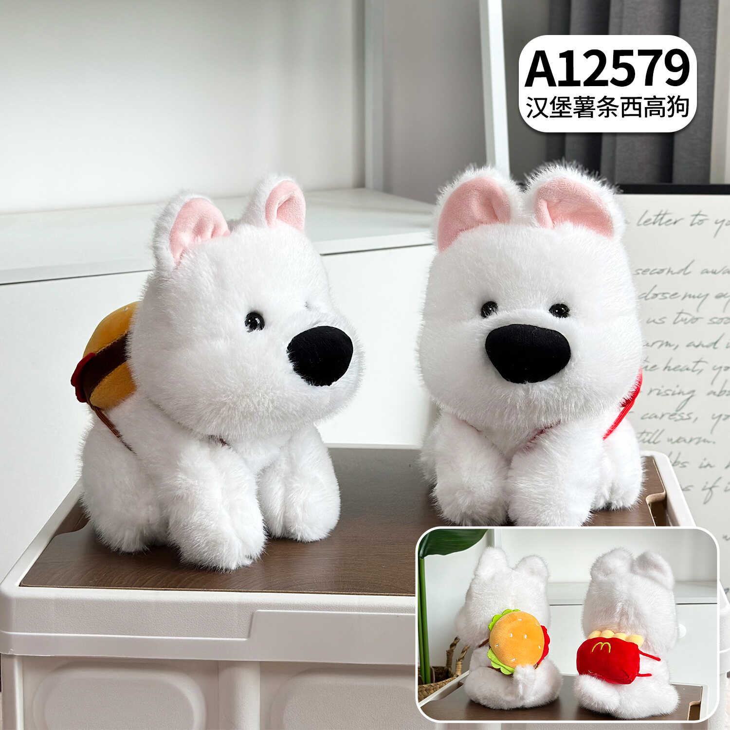 A12579