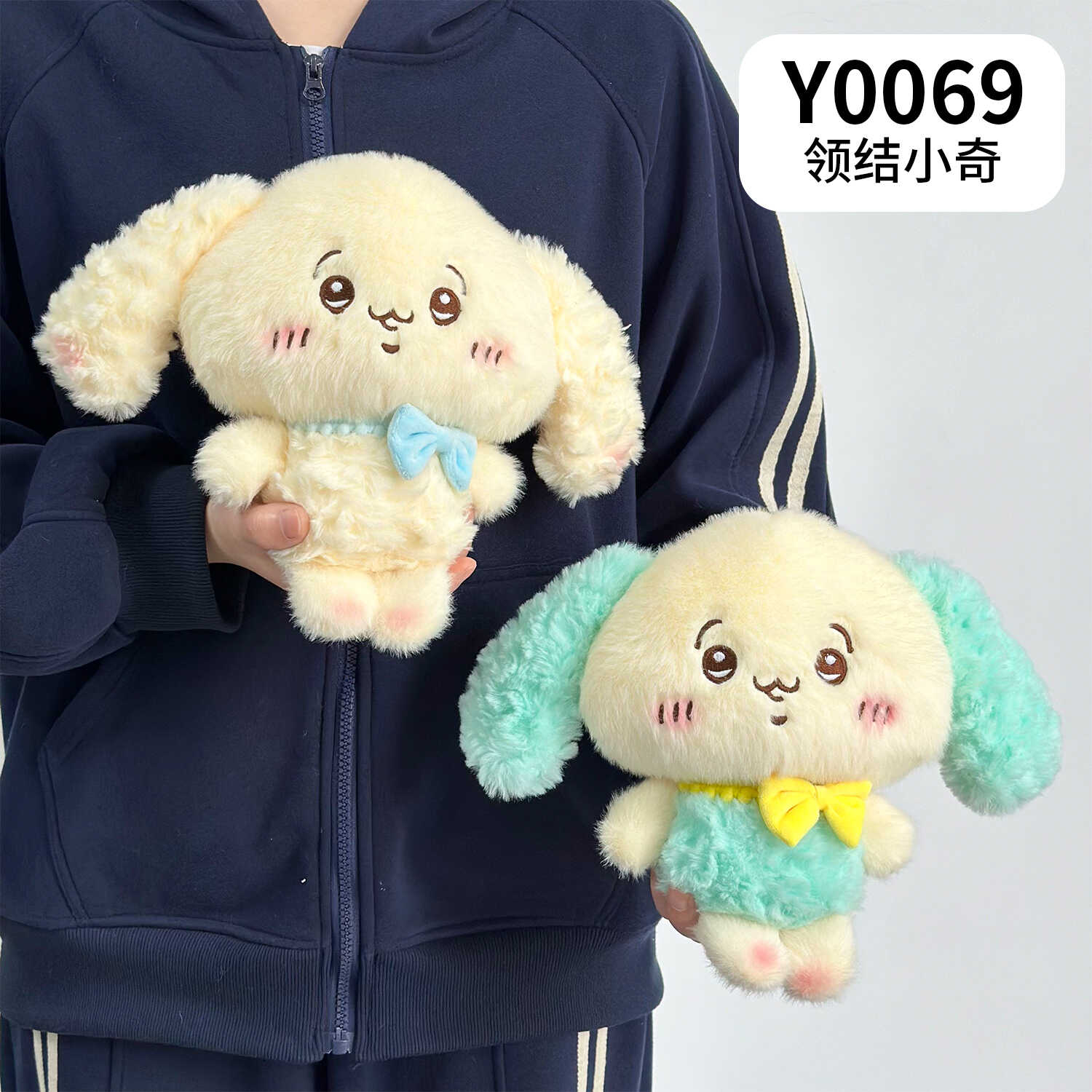 Y0069