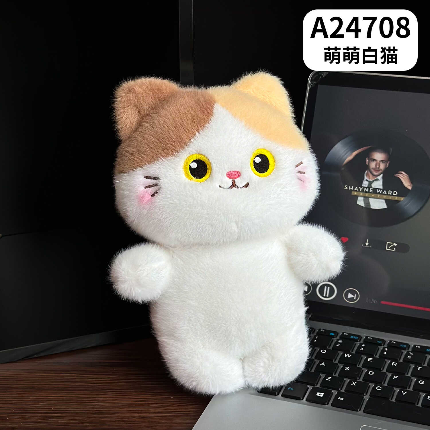A24708