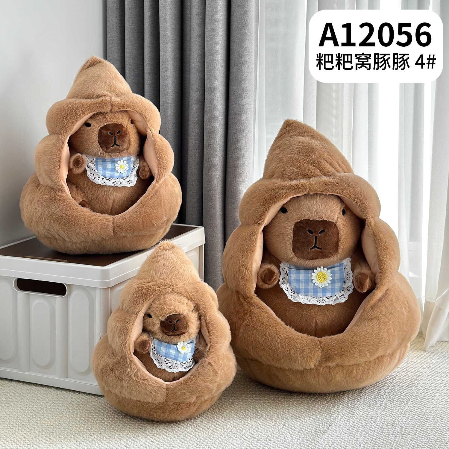 A12056