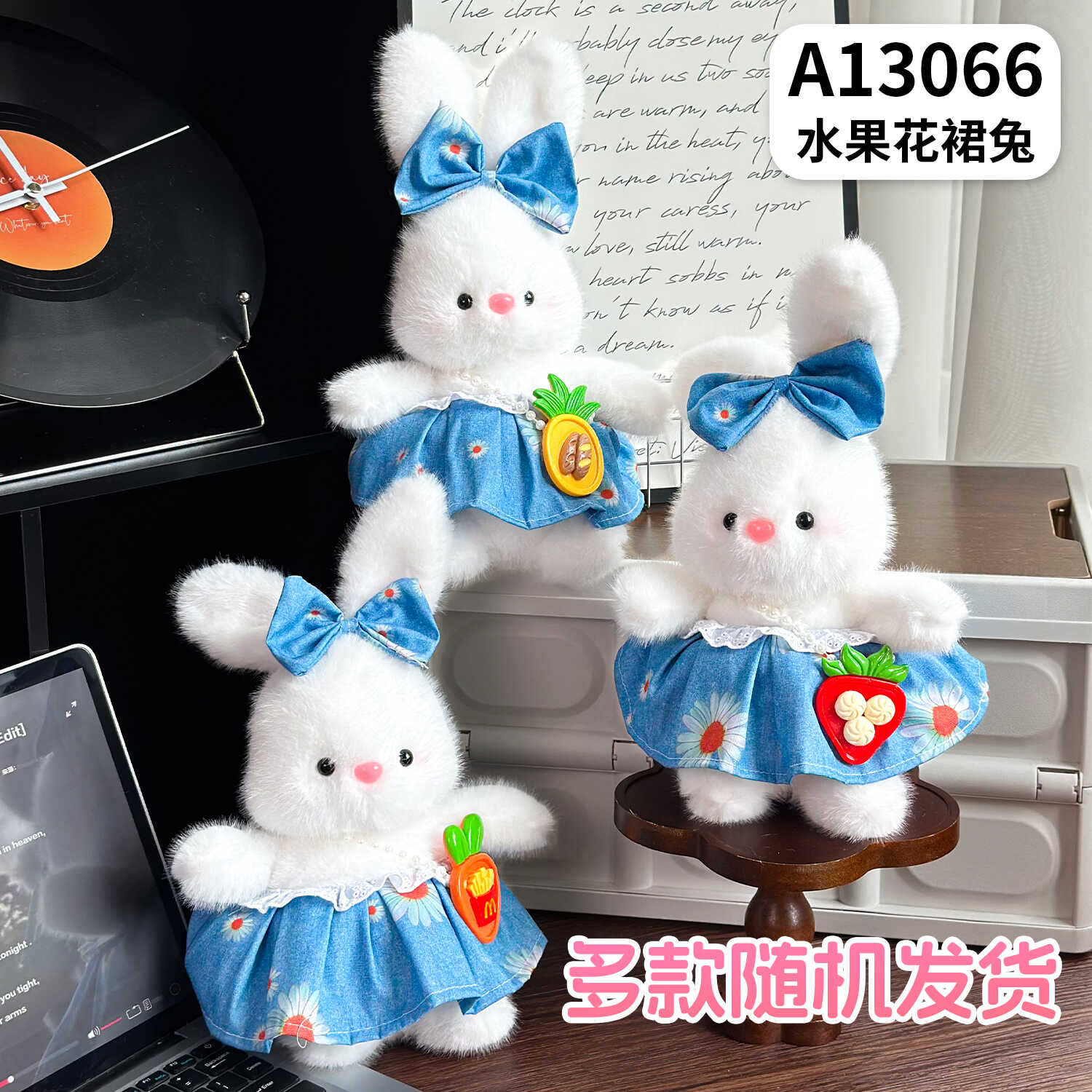 A13066
