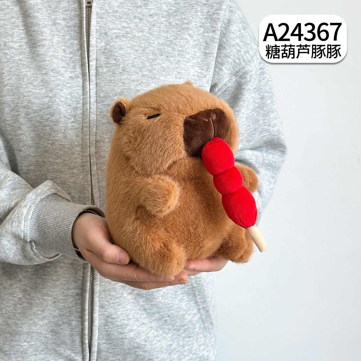 A24367