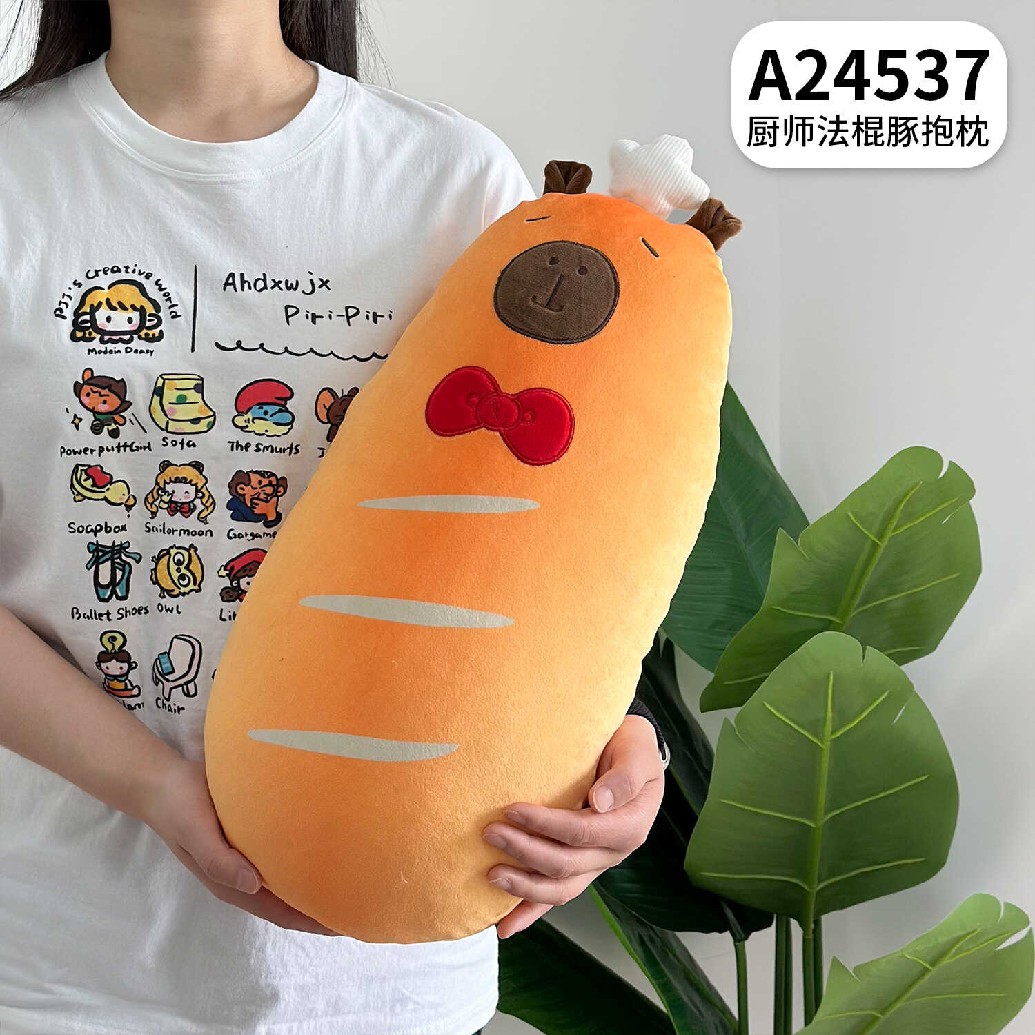 A24537