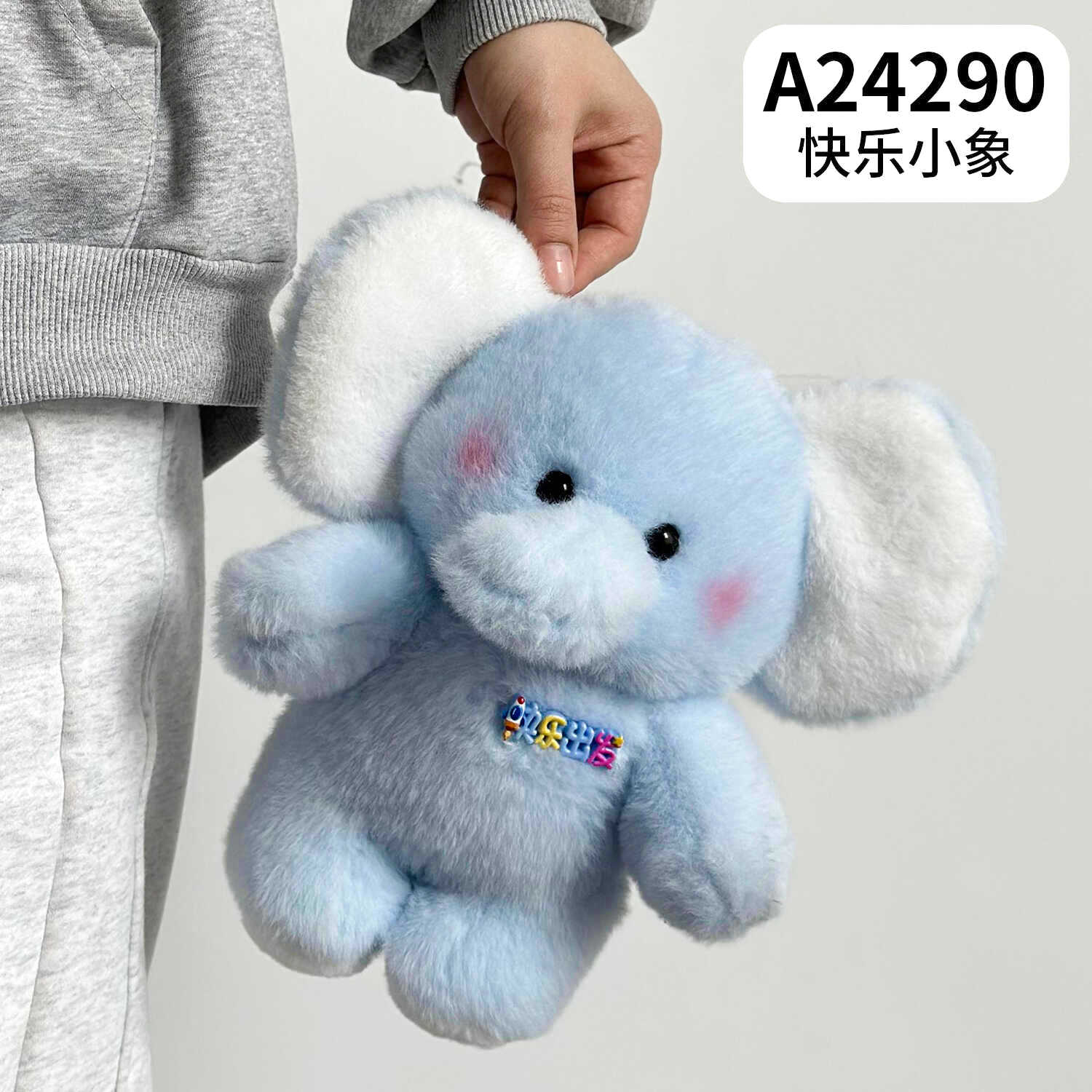 A24290