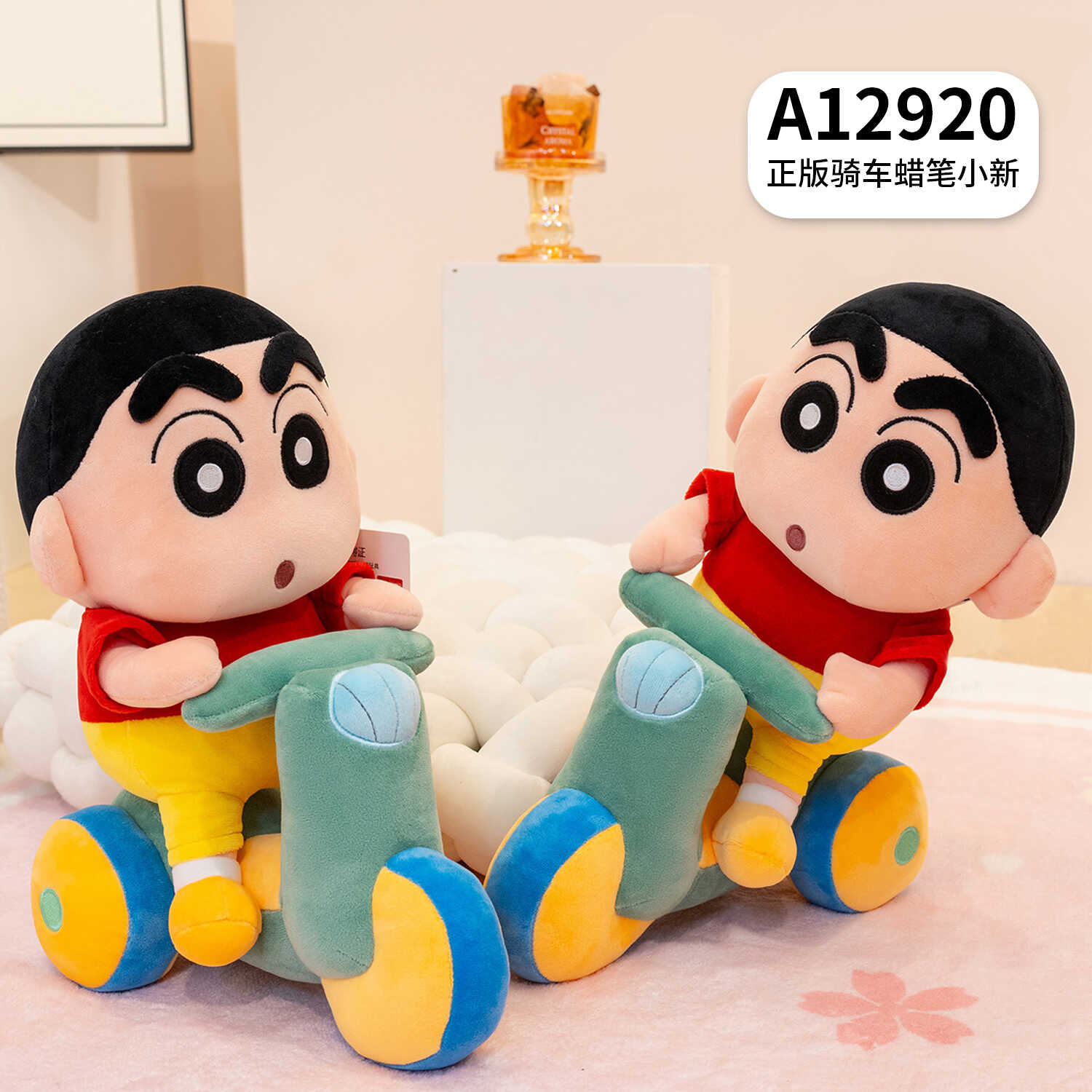 A12920