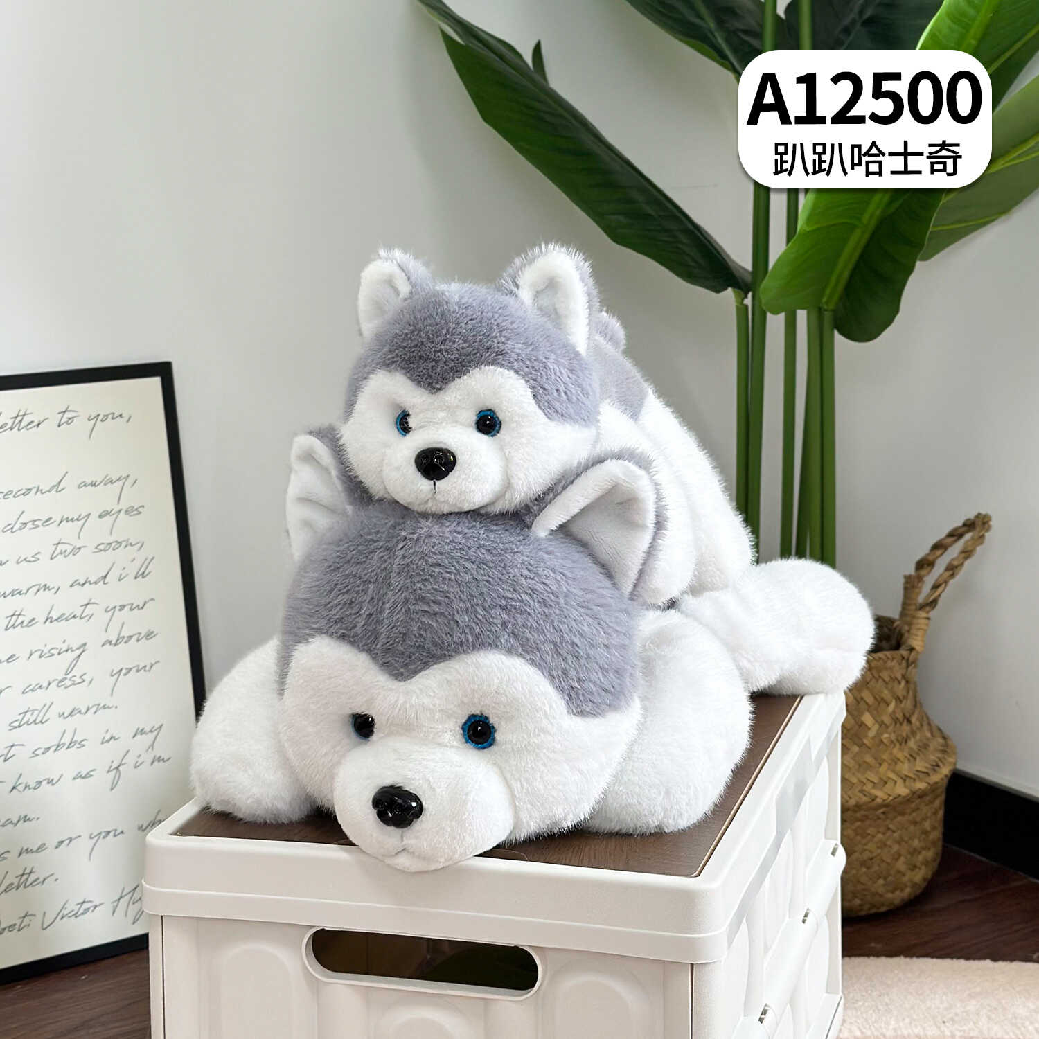 A12500