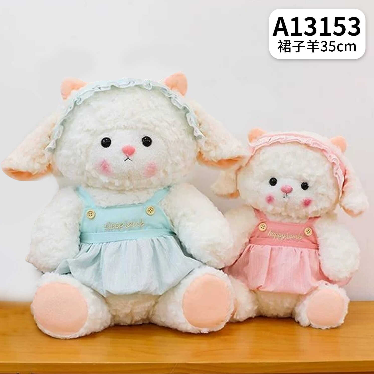 A13153